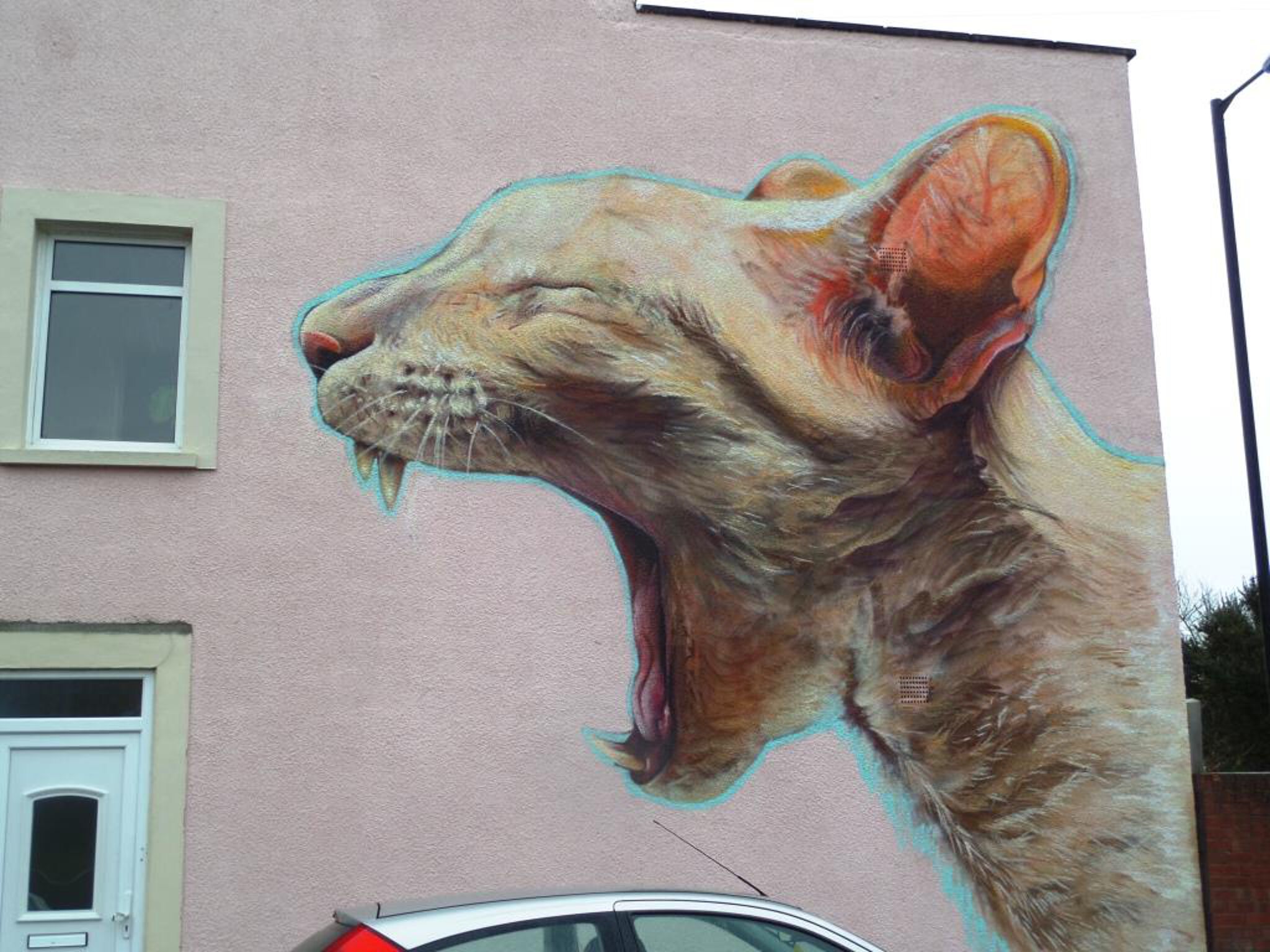 boe, Irony&mdash;Untitled
