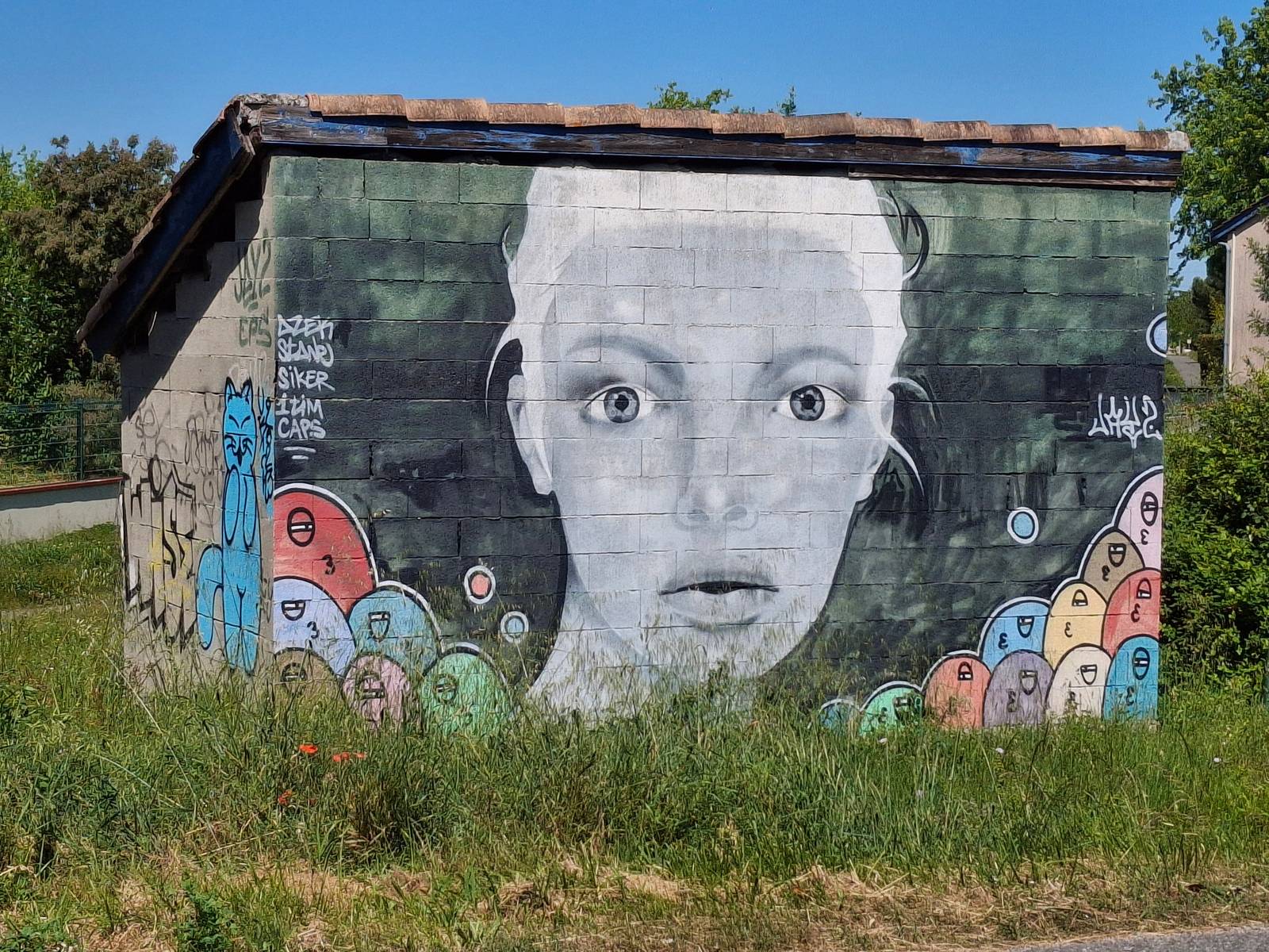 Unknown - Toulouse&mdash;Visage