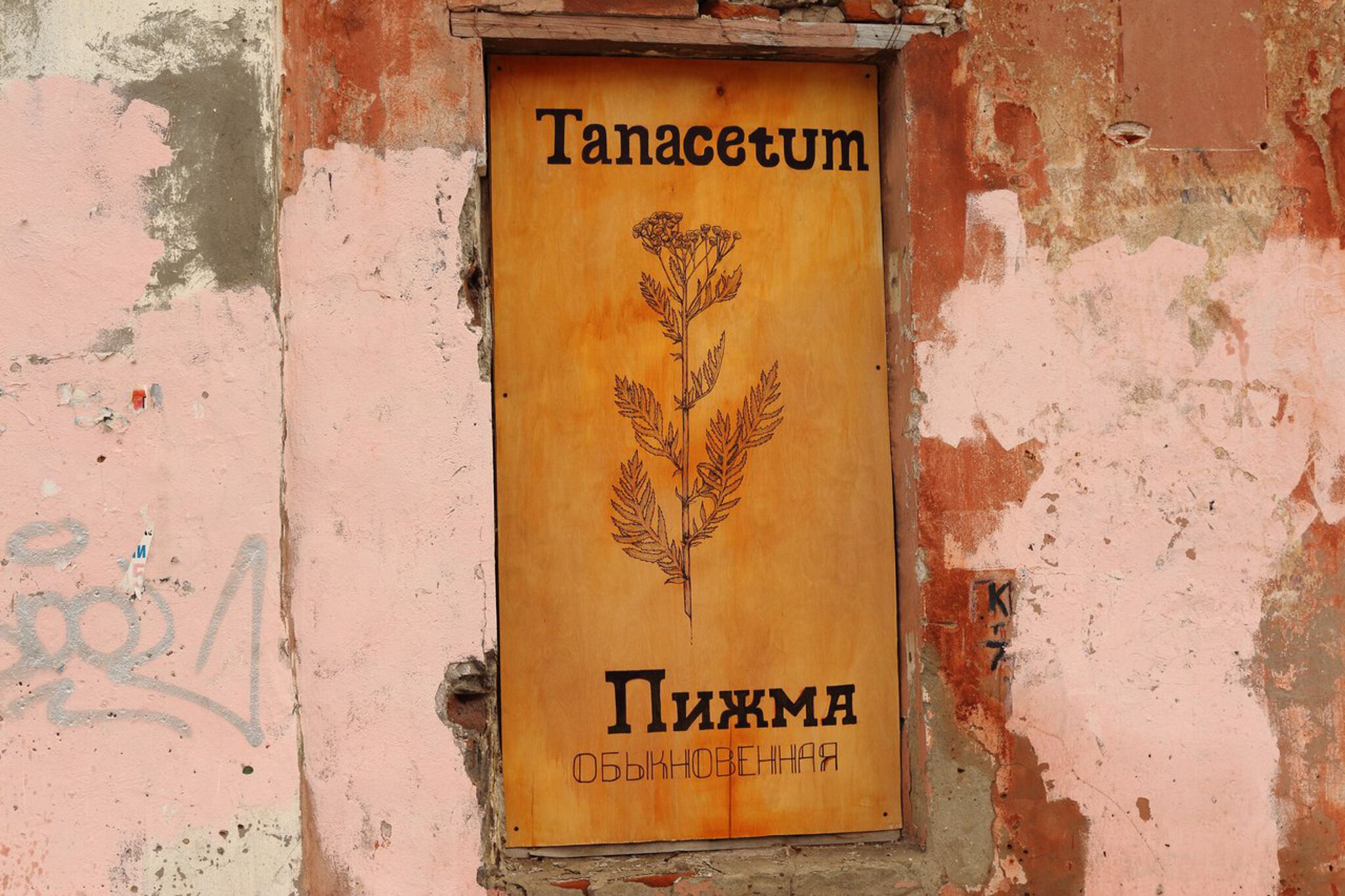 LENA LISITSA&mdash;COMMON CITIZENS
