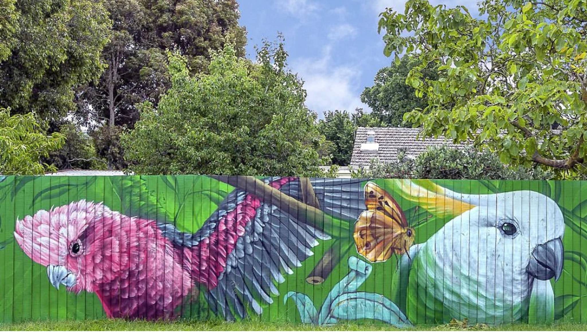 Alex Sugar&mdash;Lorna Street Reserve