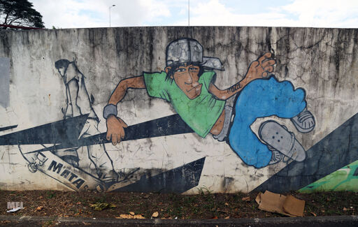Skate Park Area