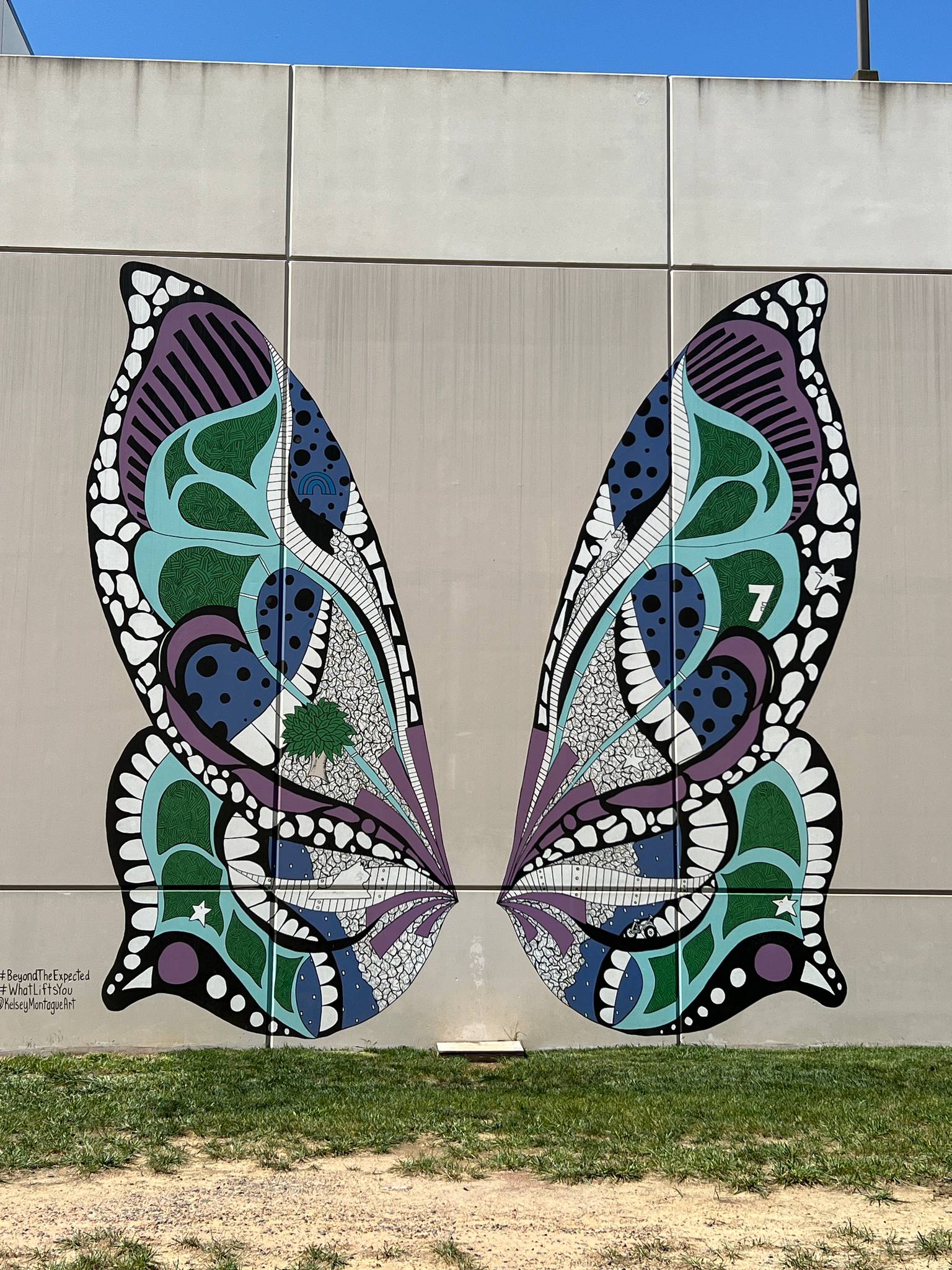 Kelsey Montague&mdash;Reston Wings