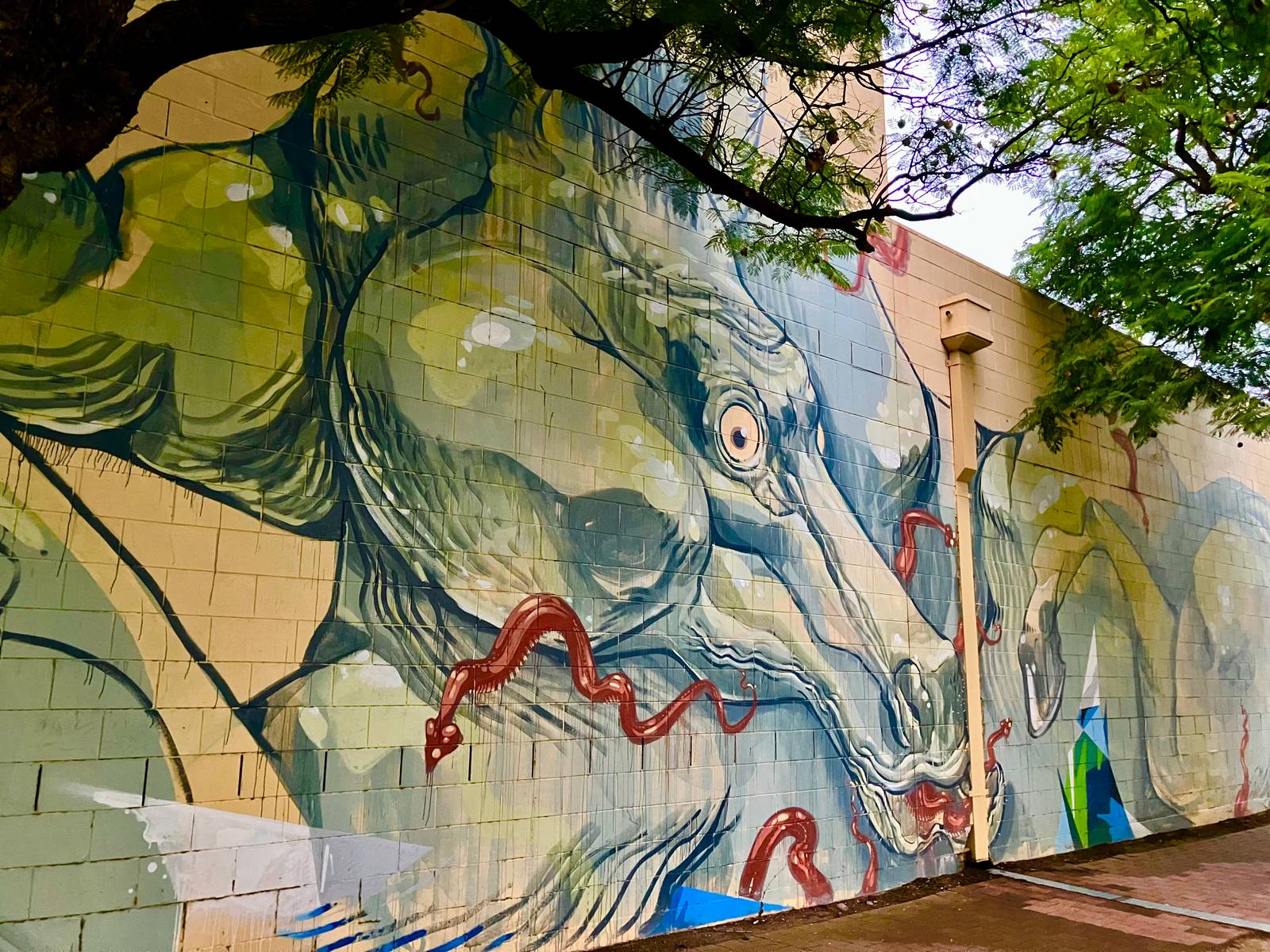 Unknown - Adelaide&mdash;undefined