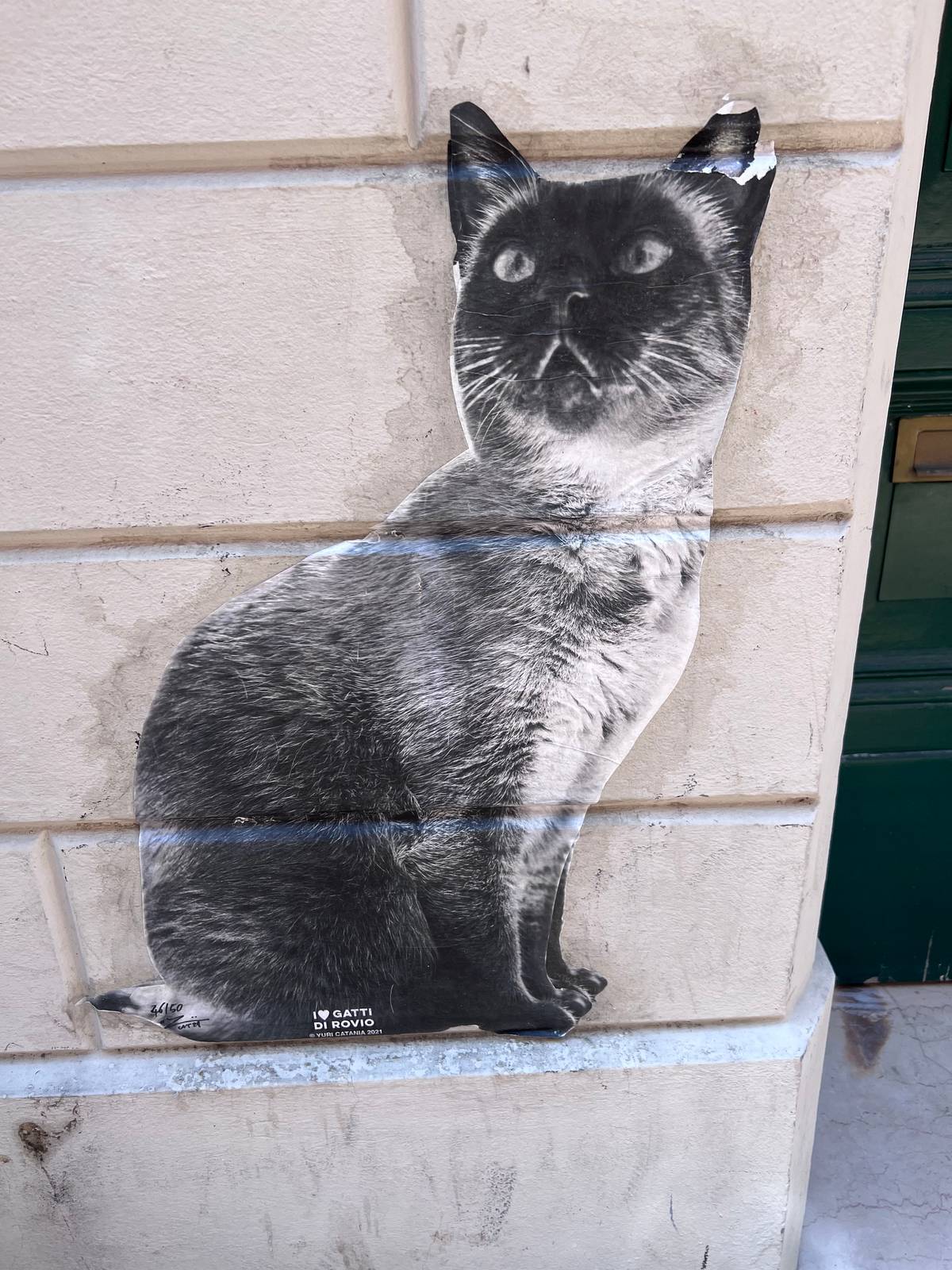 Yuri Catania&mdash;I gatti di Rovio