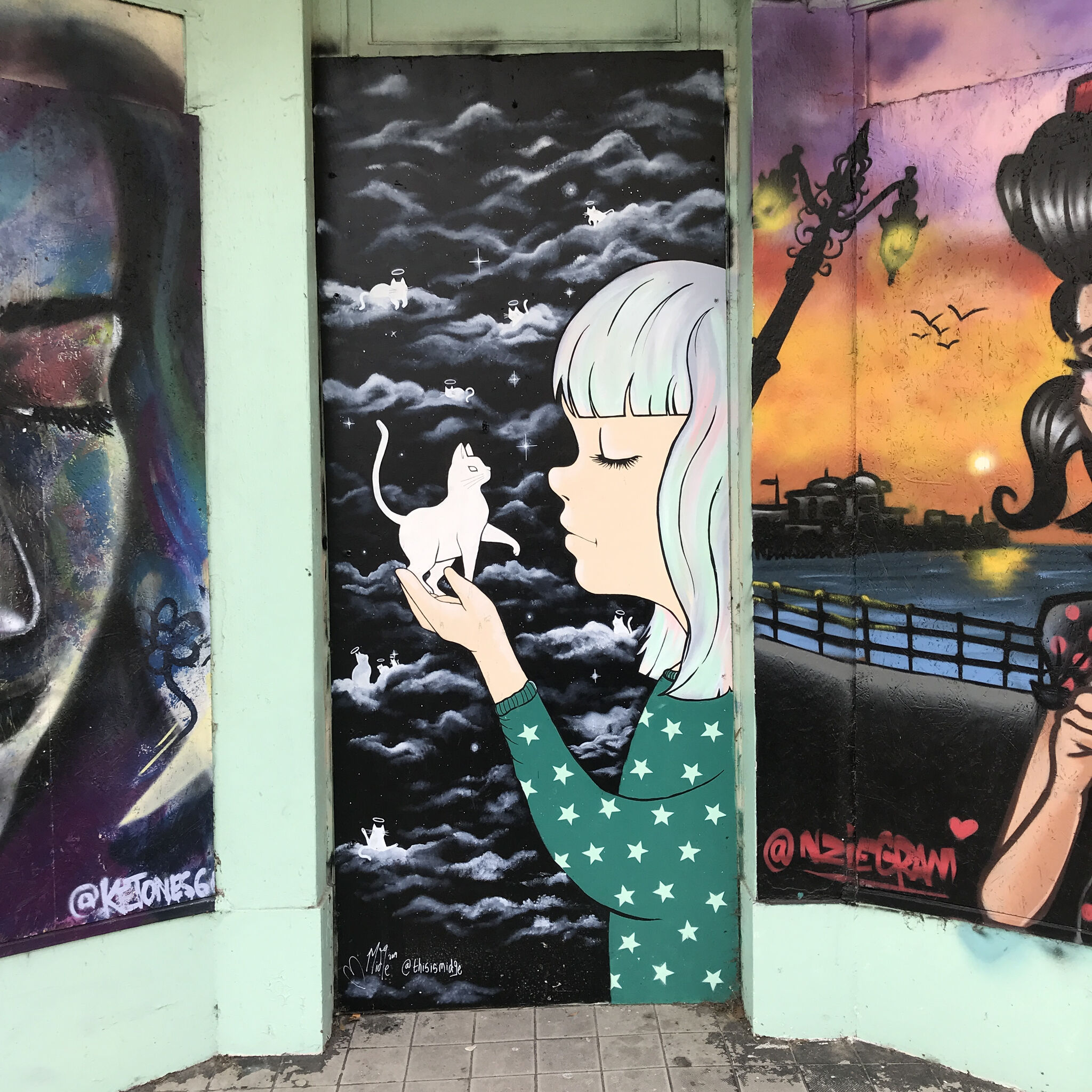 rooabrook, Koe1, Ketones6000, thisismidge, NZIE, Gary Stranger, pogo, RoosArt&mdash;Osborne Road Street Art Gallery