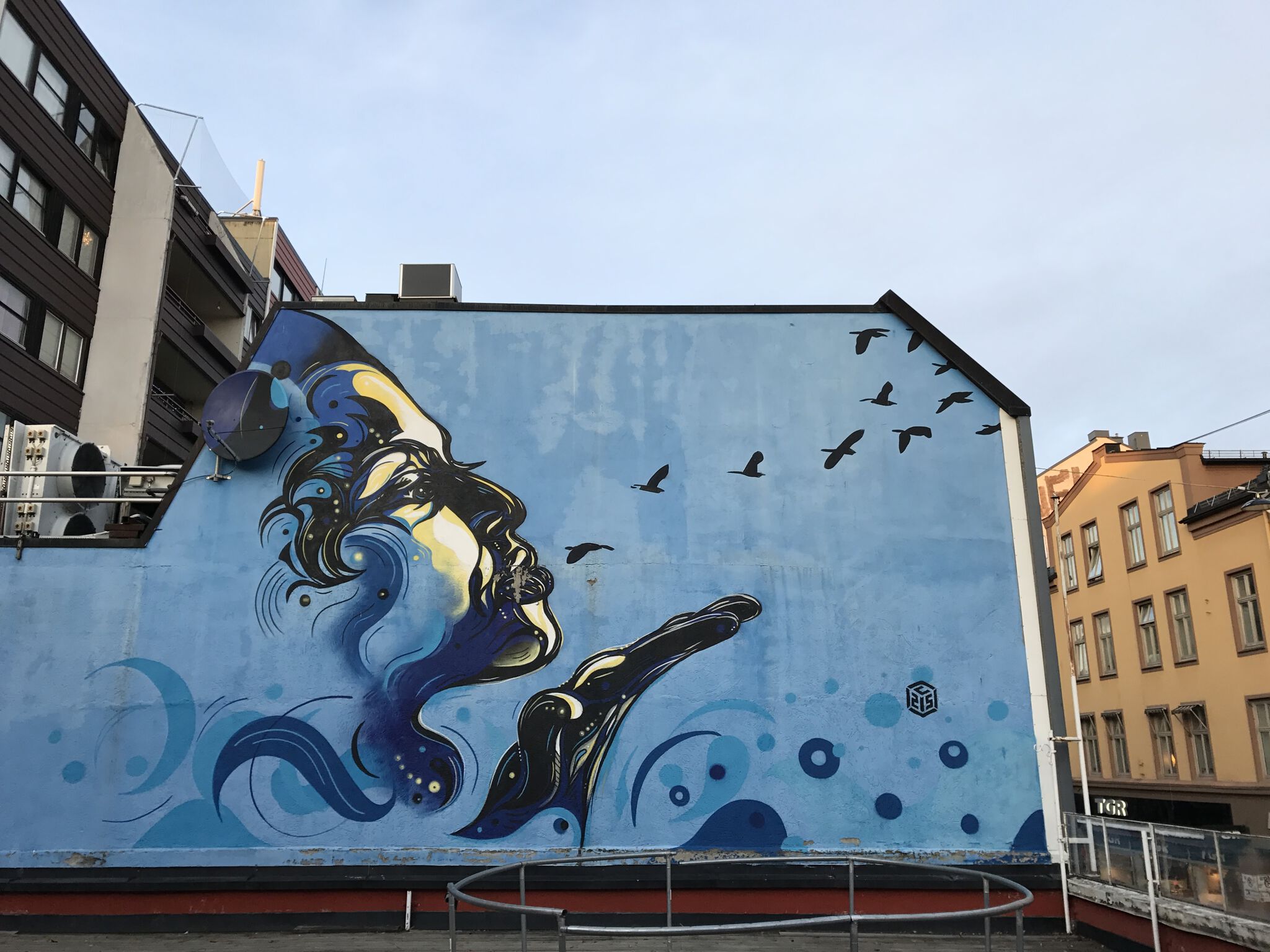 C215&mdash;Volare