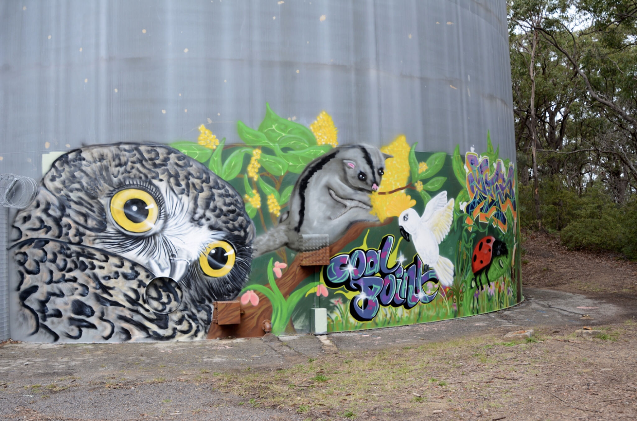 Dan Miller&mdash;Coal Point Water Tank Art