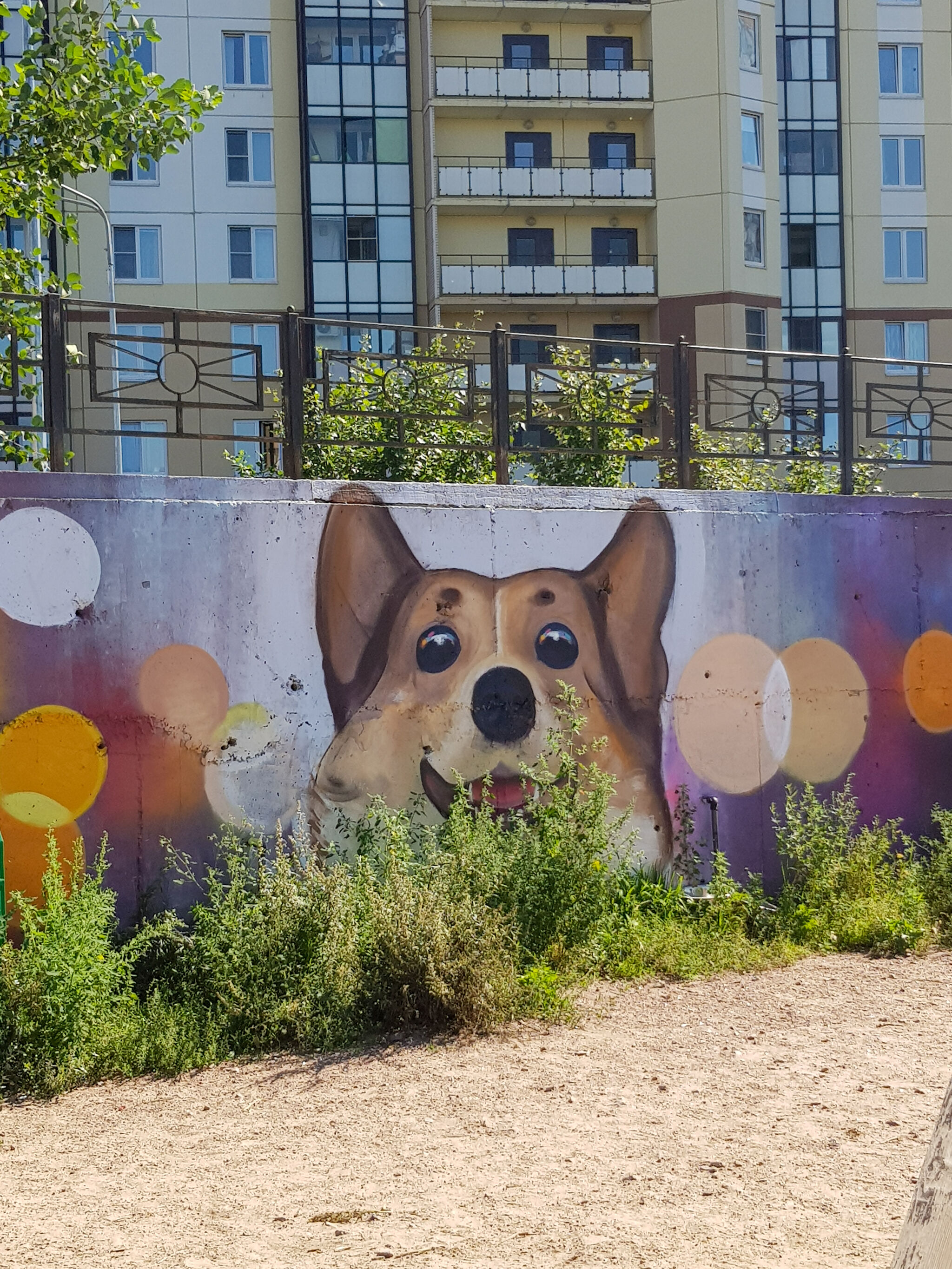 Nadezhda Opalinskaya, 7aur&mdash;Dog playground