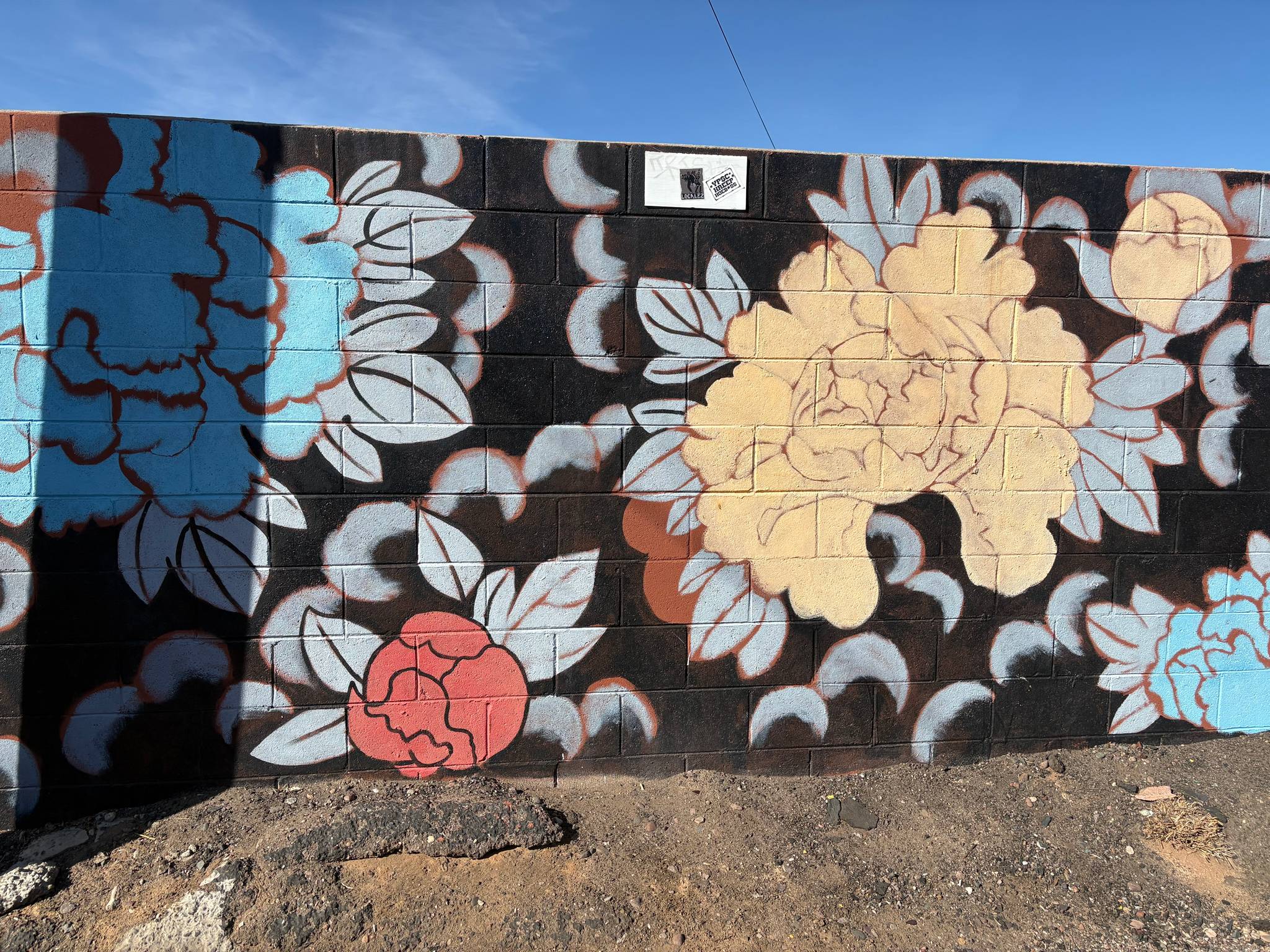 Unknown - Phoenix&mdash;undefined