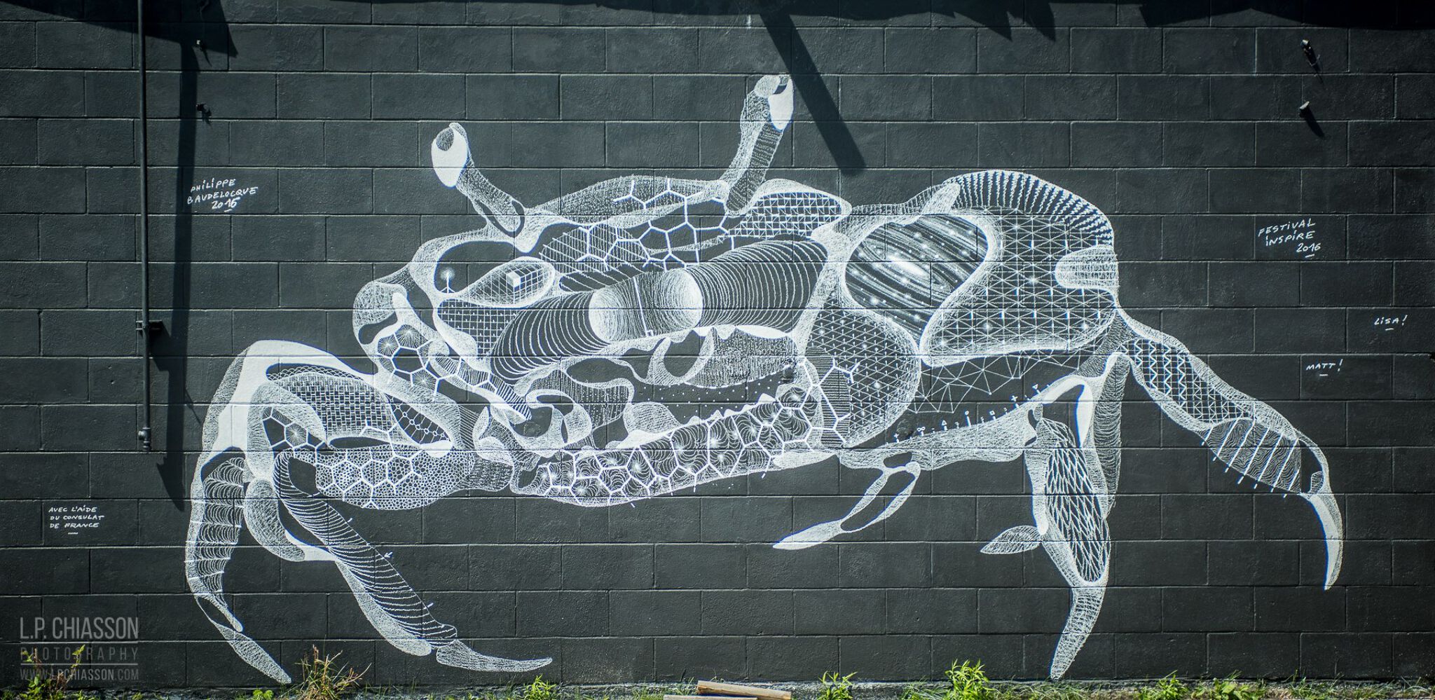 Philippe Baudelocque&mdash;The Crab