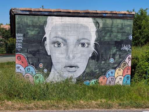 Visage