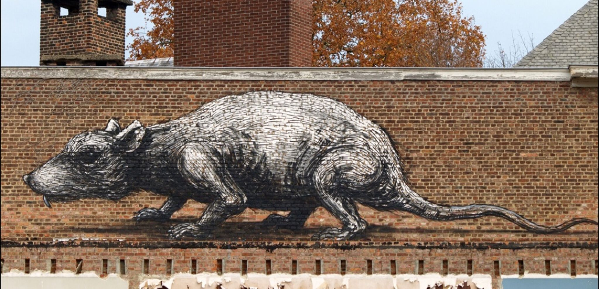 Roa&mdash;Untitled