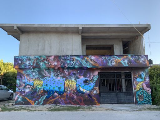 Akumal Space Shark