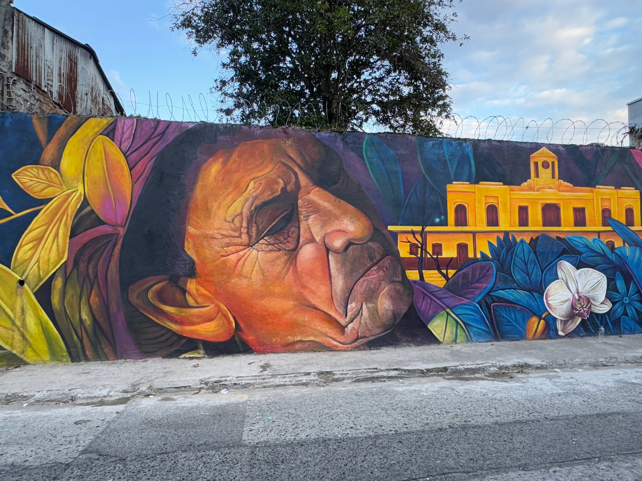 Eterno, revolucionarte &mdash;Sembrando paz en el territorio