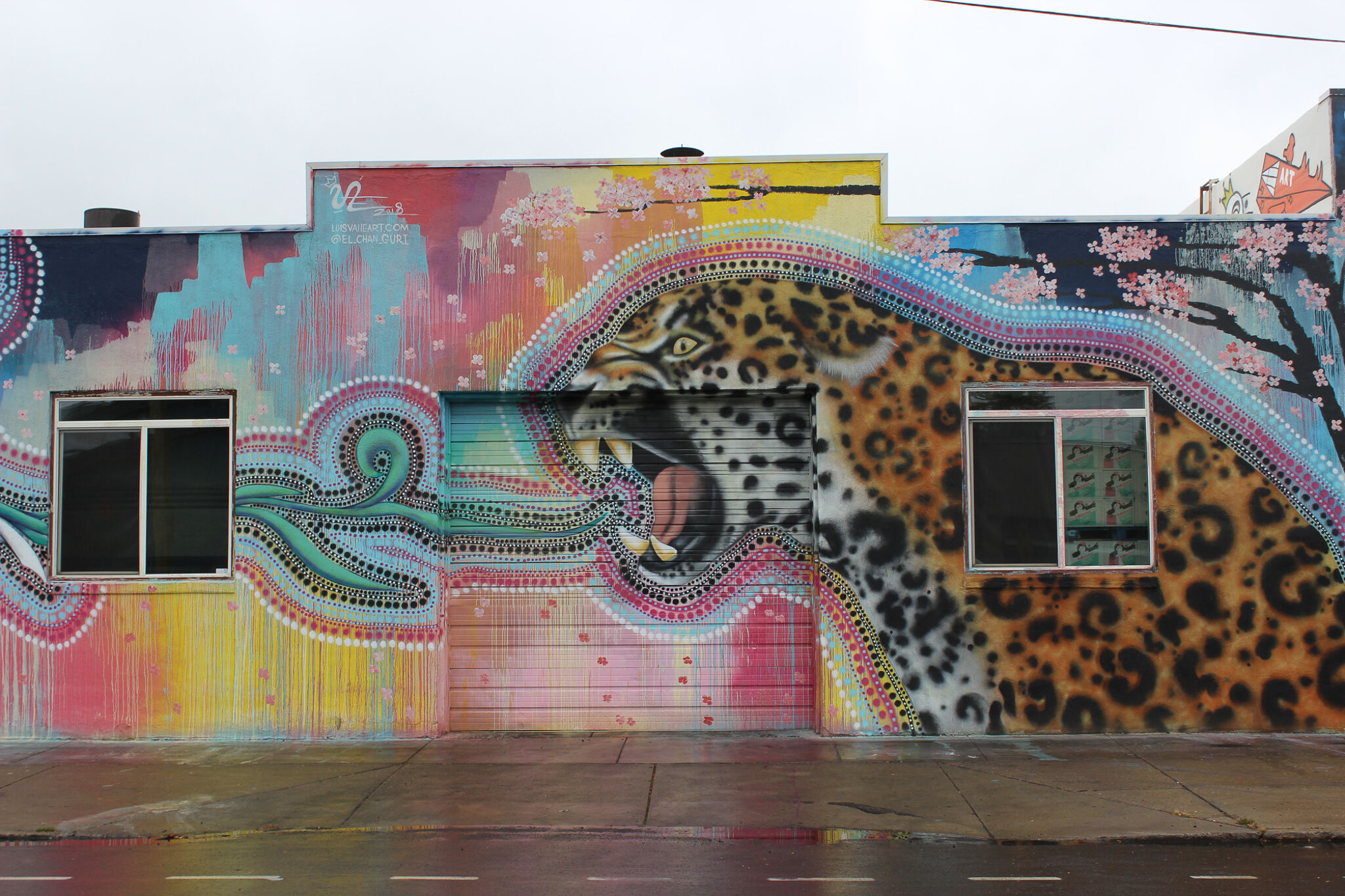 Luis Valle&mdash;Cheetah