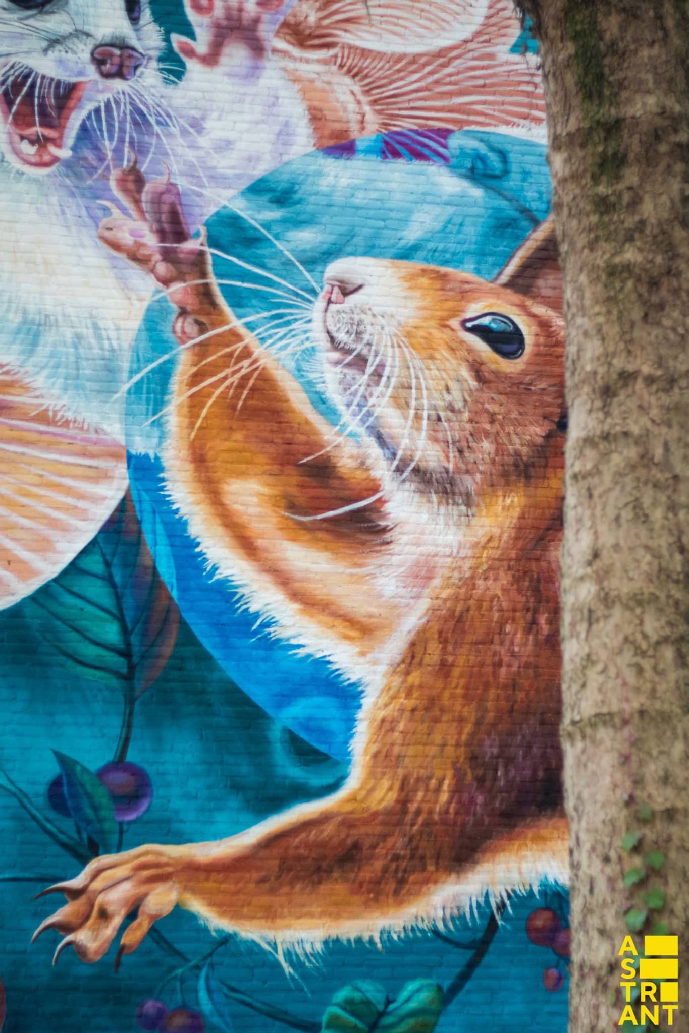 Nina Valkhoff&mdash;Ermine in wintercoat and a squirrel