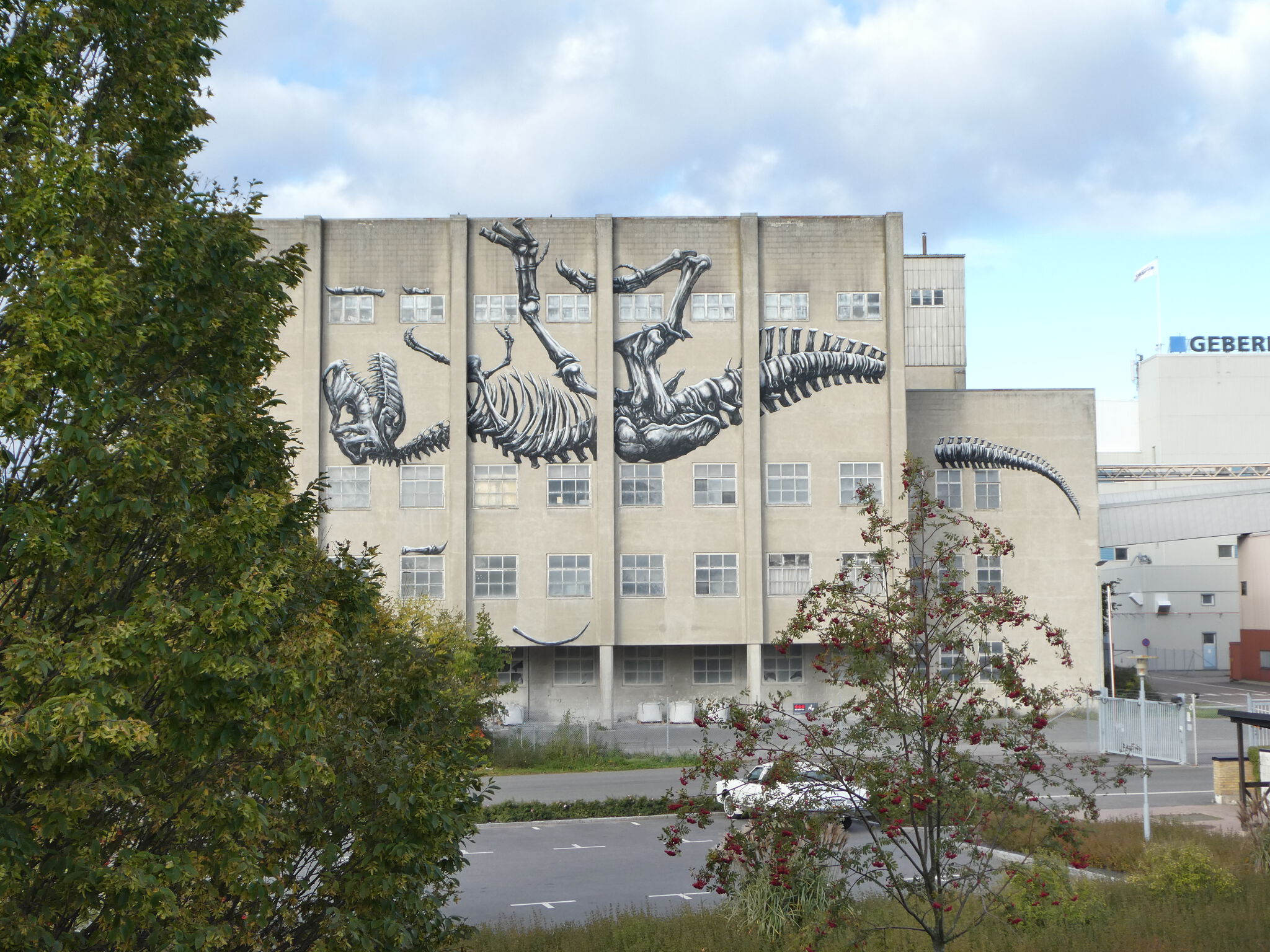 Roa&mdash;Dinosaur
