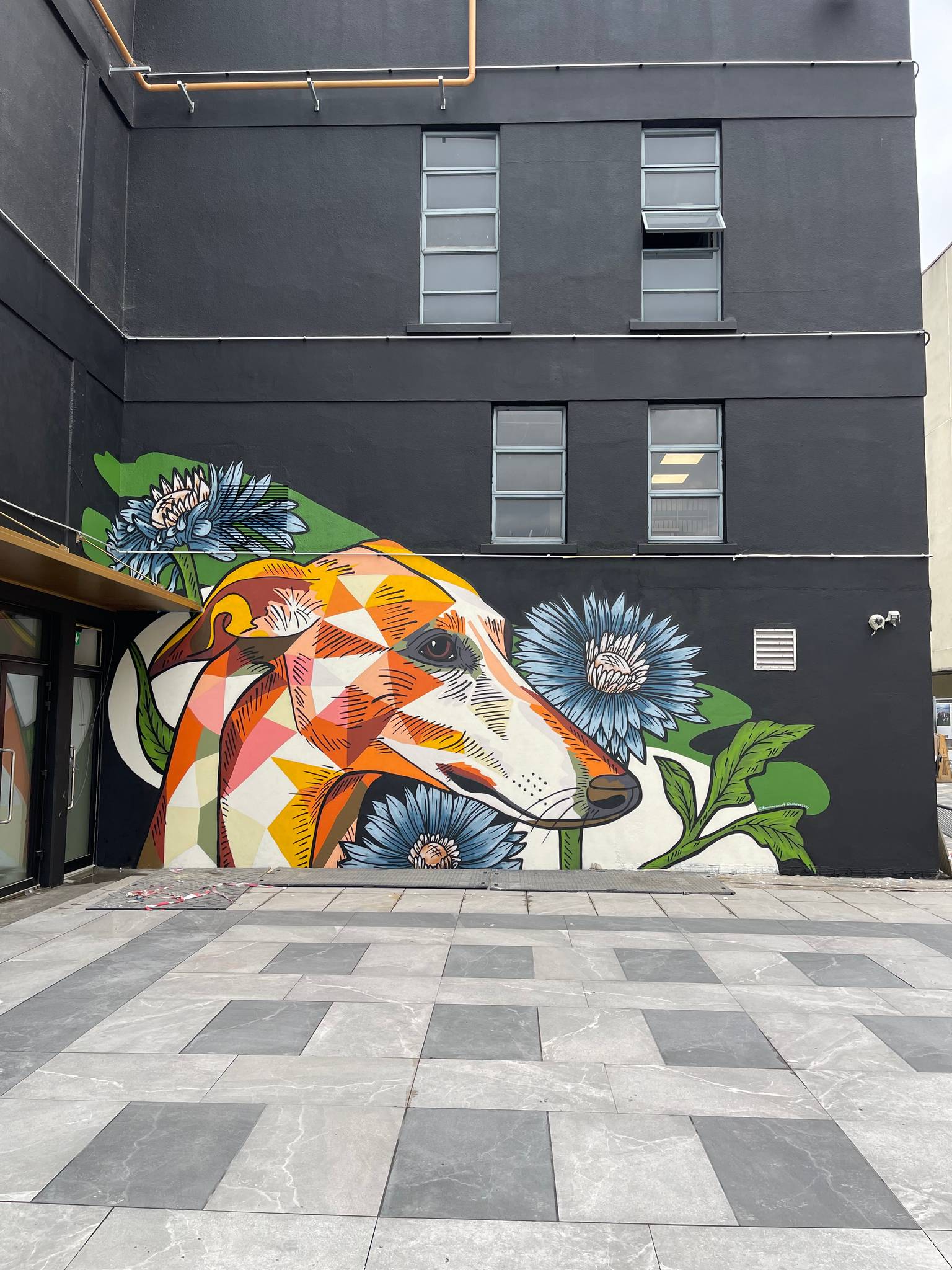 Fenz, Danni Simpson&mdash;Greyhound