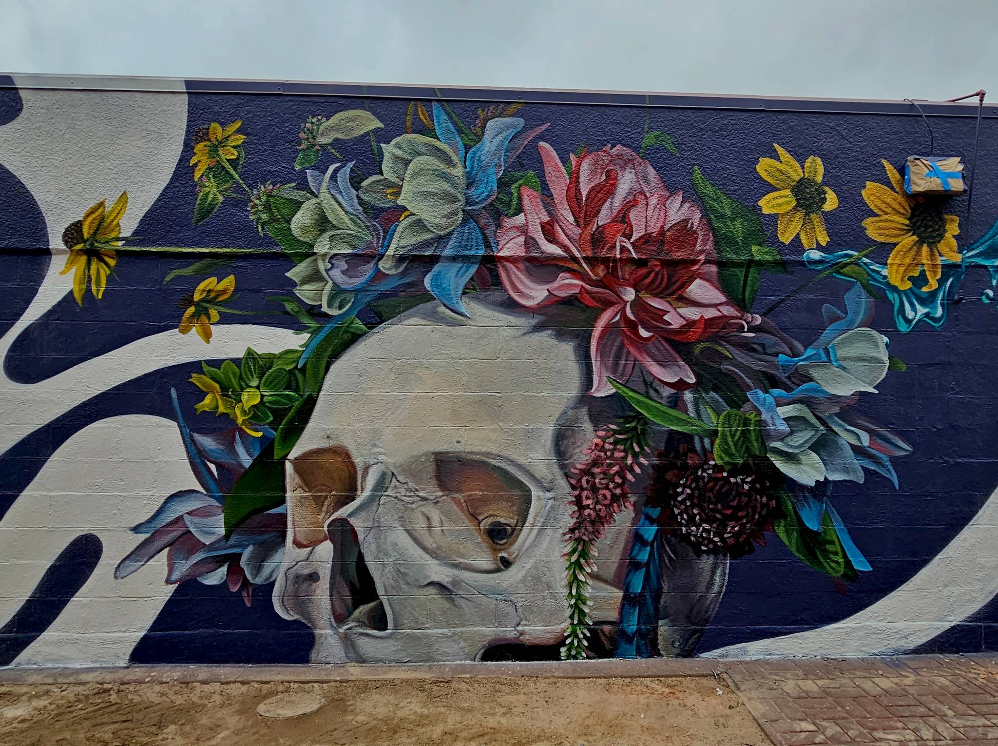 Nico Cathcart&mdash;Colfax Canvas
