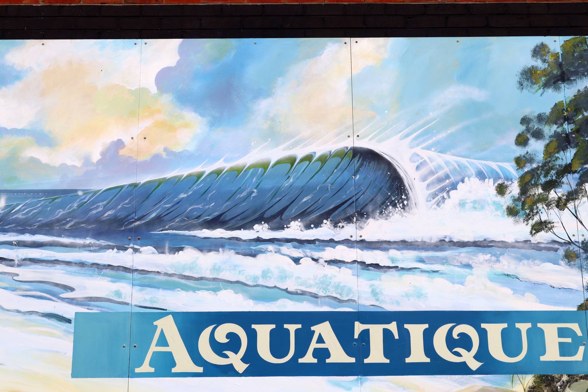 Peter Crossman&mdash;Aquatique