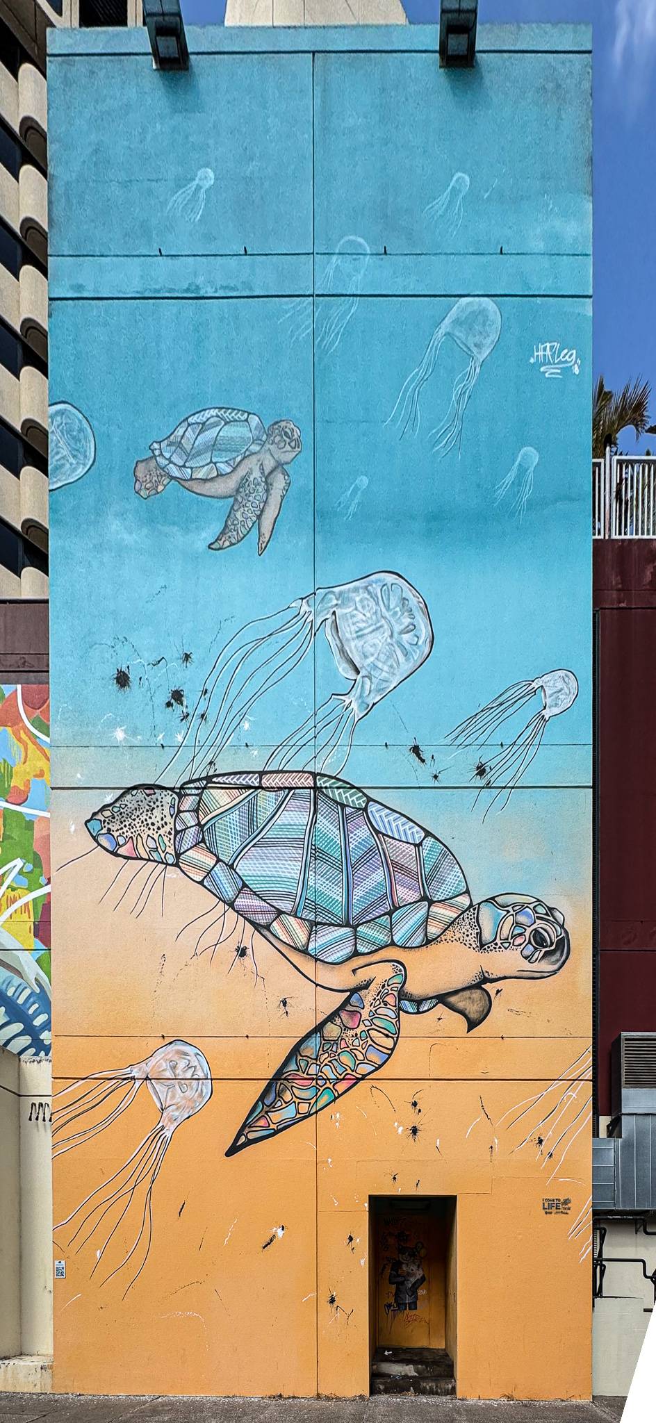 Hafleg&mdash;Turtle