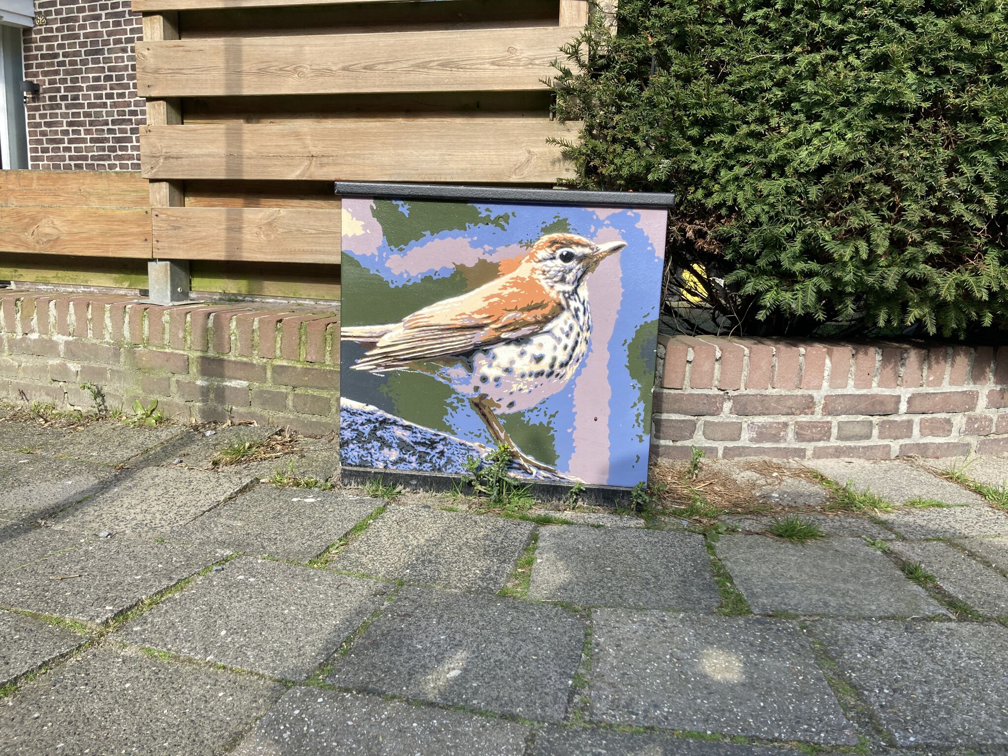 Roy Schreuder&mdash;Lijster