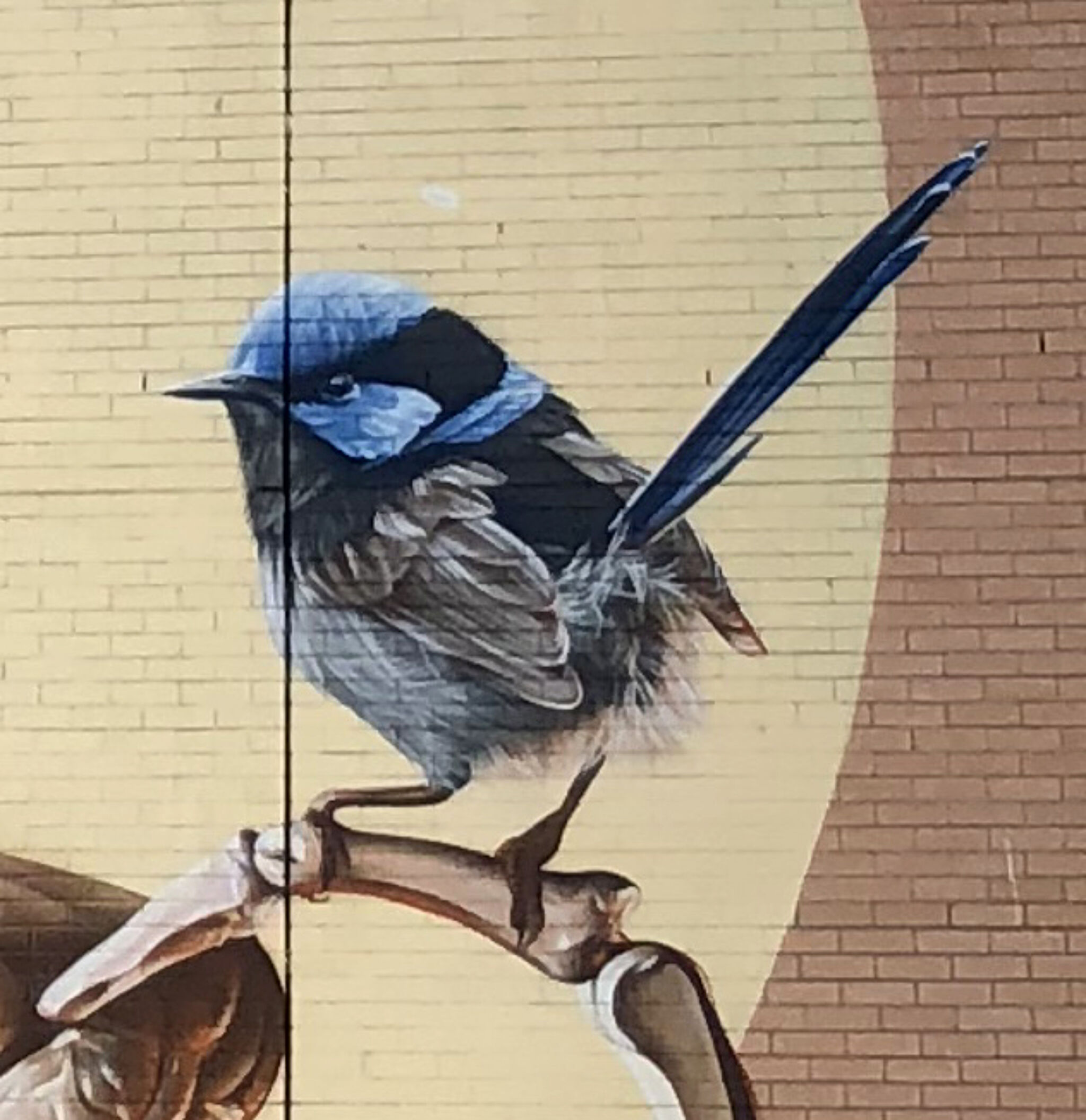 Smug&mdash;Skeleton and Bird