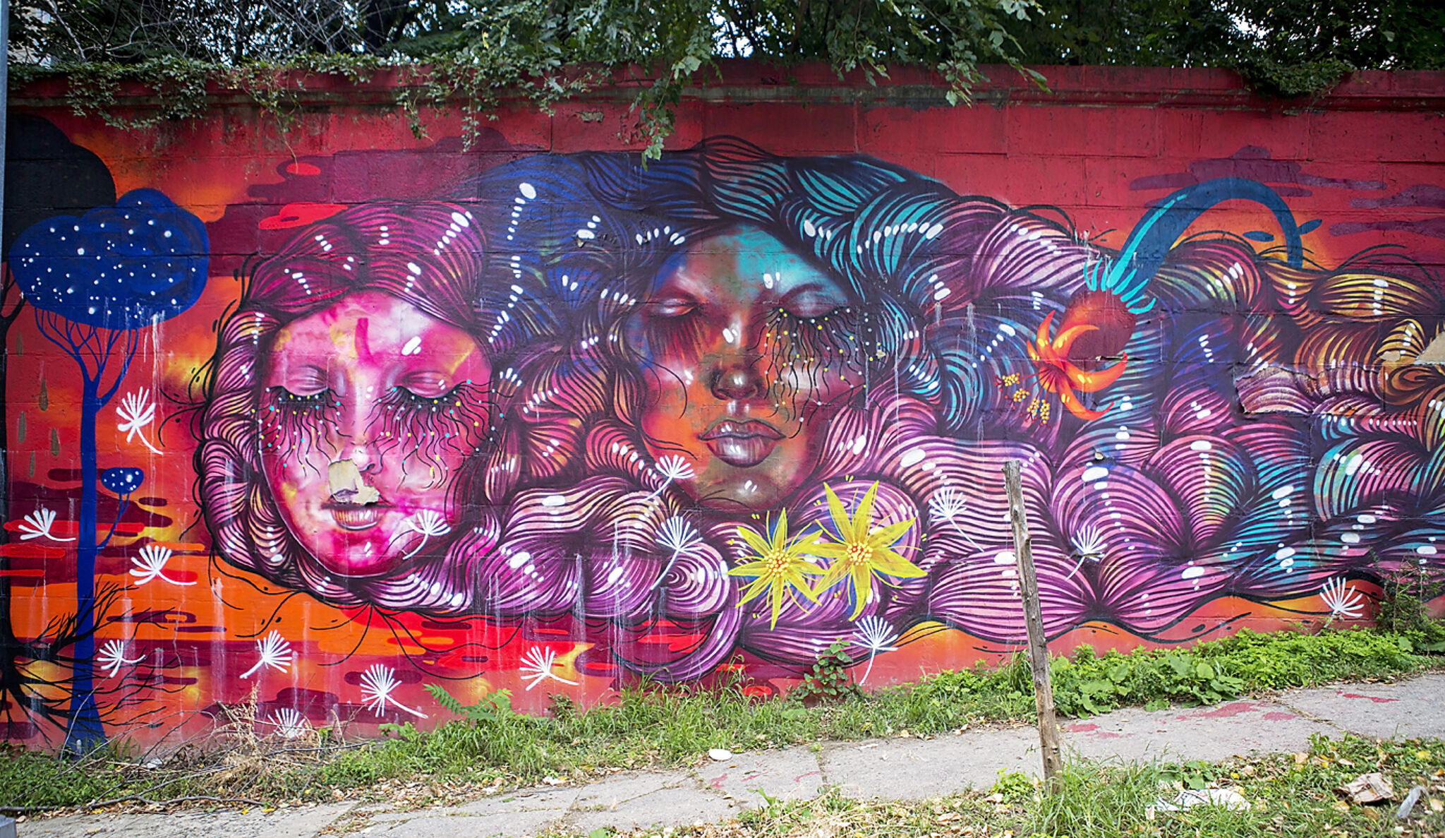 Panmela Castro&mdash;In Honor of Women