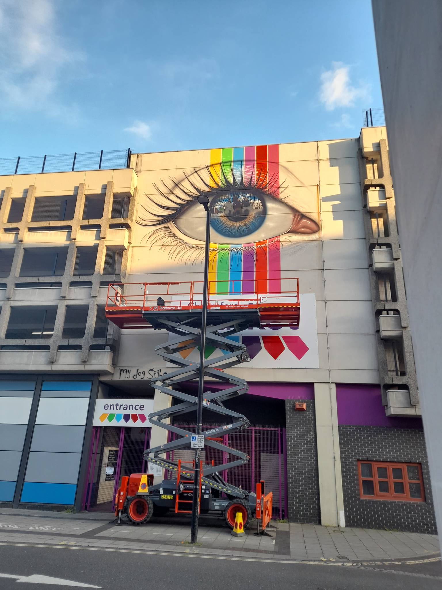 My Dog Sighs&mdash;Chelmsford Eye
