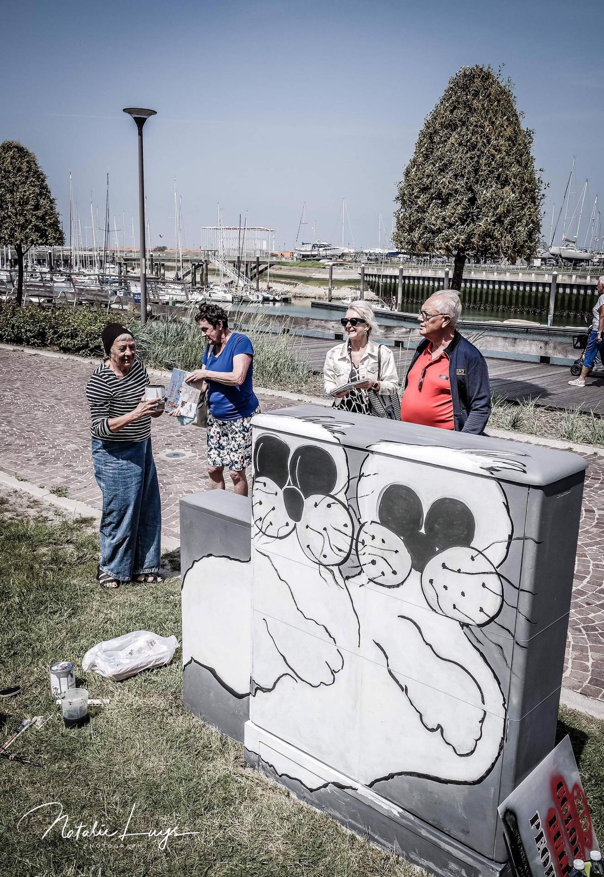 Mieke Drossaert&mdash;Tour Elentrik - Lachende zeehondjes
