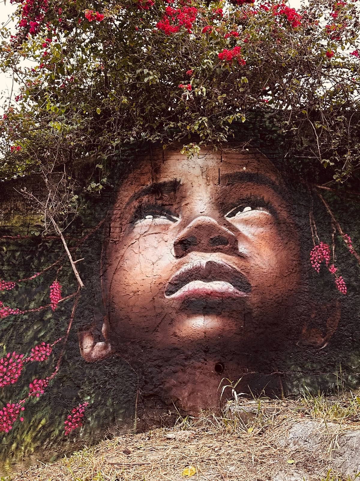Digão Comprimido&mdash;Untitled