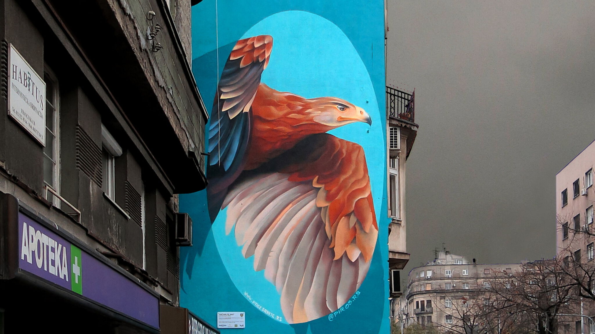 Piros&mdash;It is our responsibility for the eastern imperial eagle