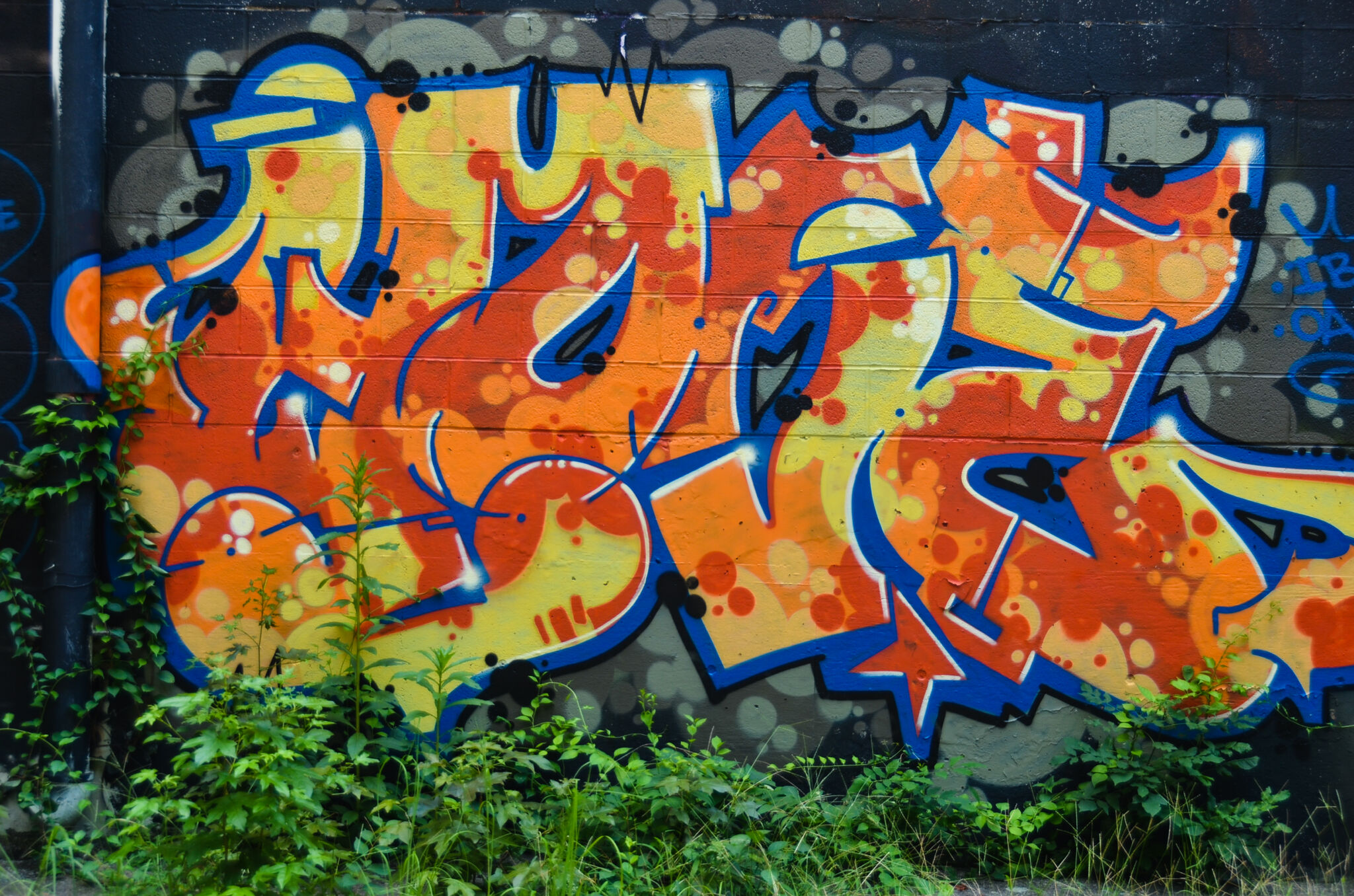 jeks_nc&mdash;Untitled