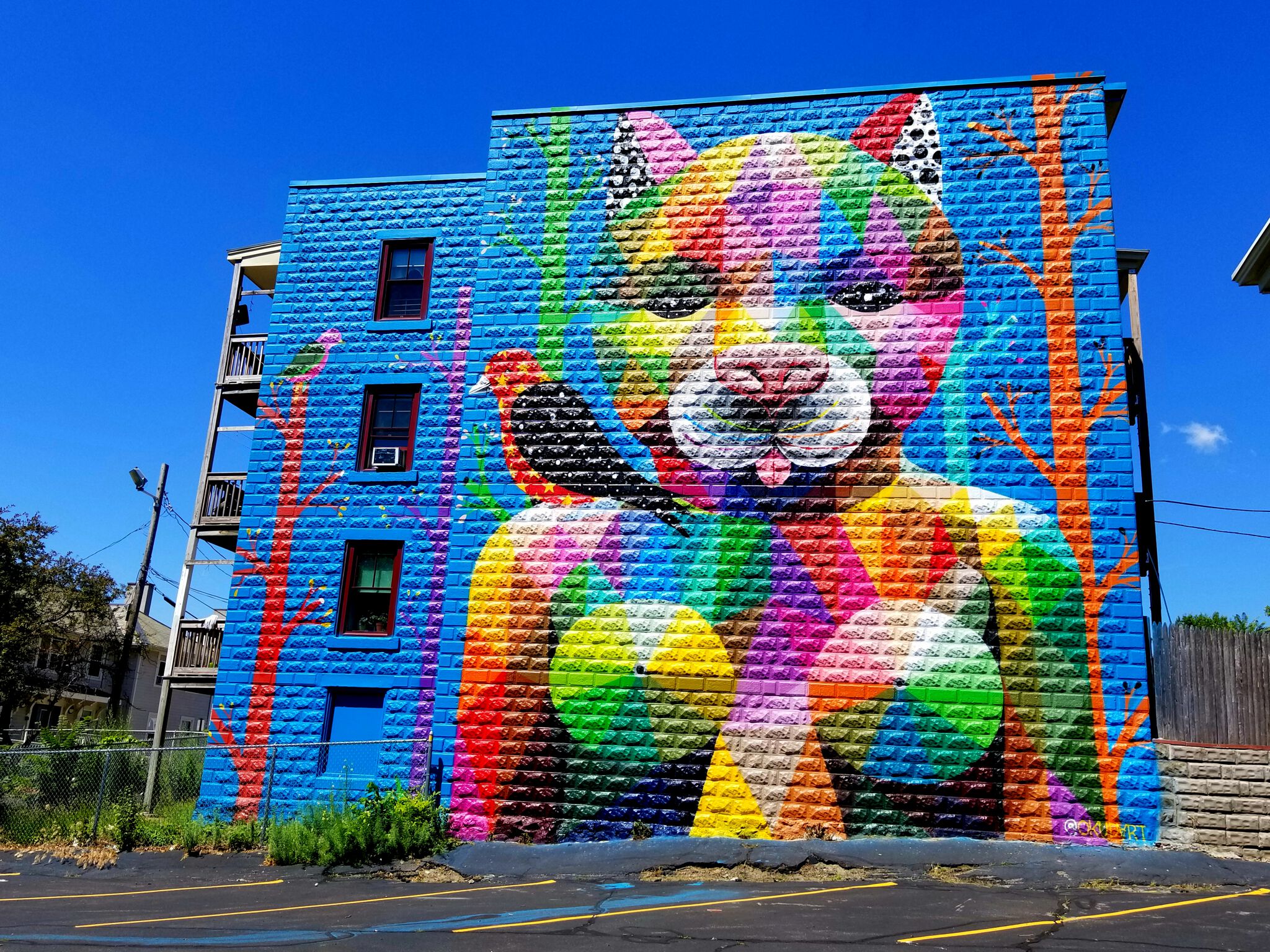 Okuda&mdash;Cat Witch