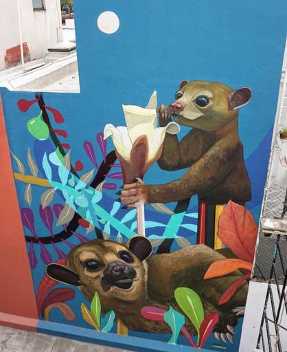 Mural "Kinkajú" by YETSERONACK