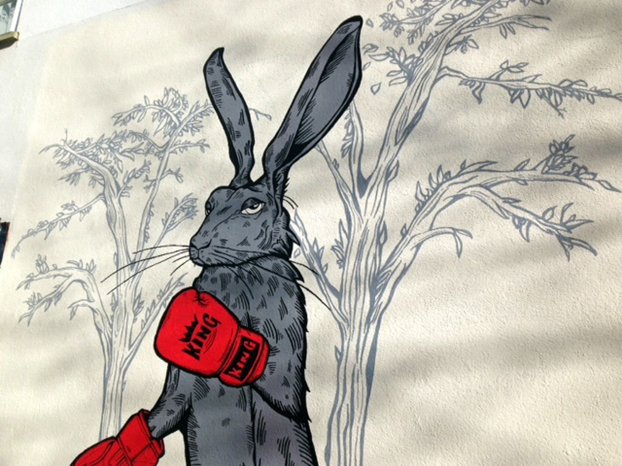 Alex Lucas&mdash;Lièvre Boxer