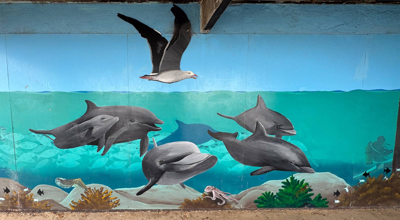 Darryl Lewis, Andrew Lewis&mdash;Edithburgh Tidal Pool Mural