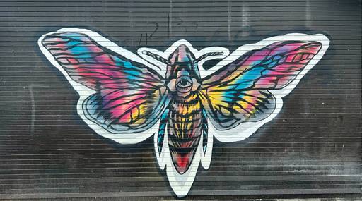Moths