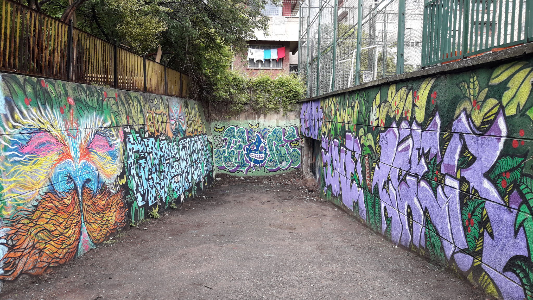 Rays, Poze, Konte, Akes&mdash;Sofia Jungle