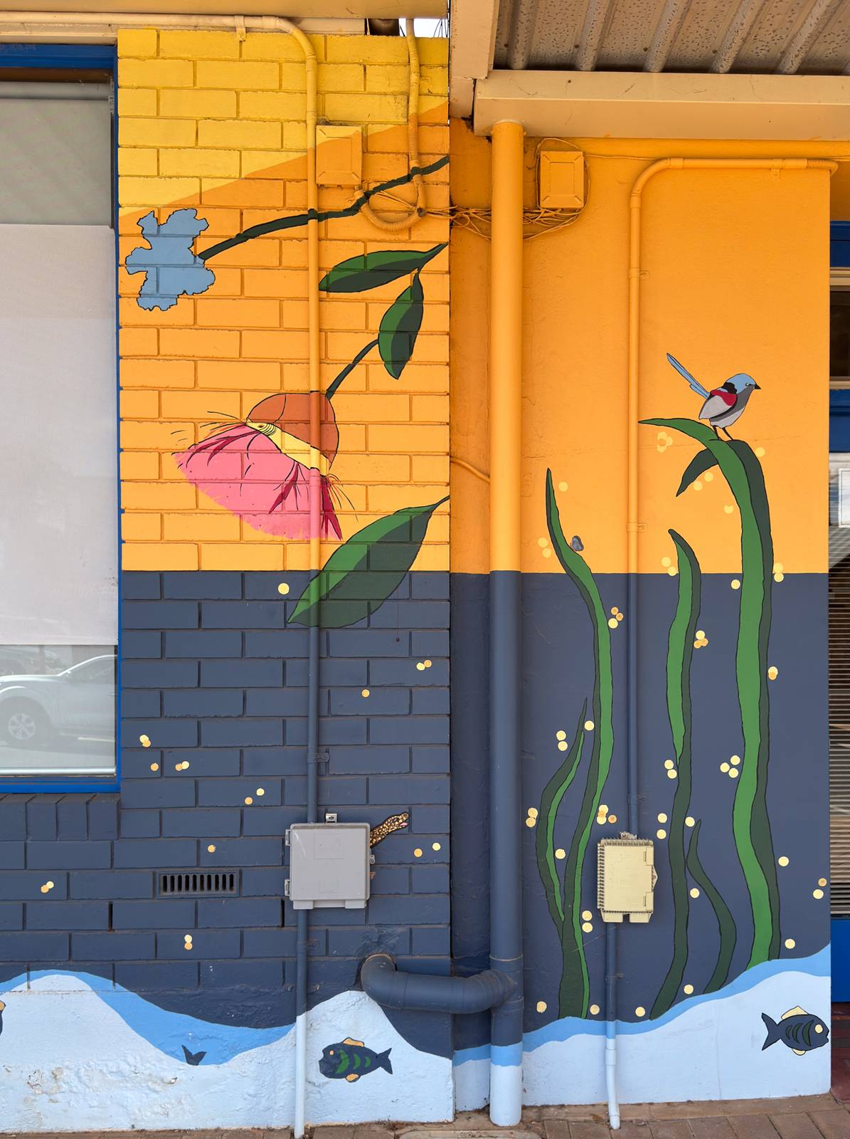 Lyn Anstey, Aimee Gladigau, Alexia Flight&mdash;Loxton Community Hub