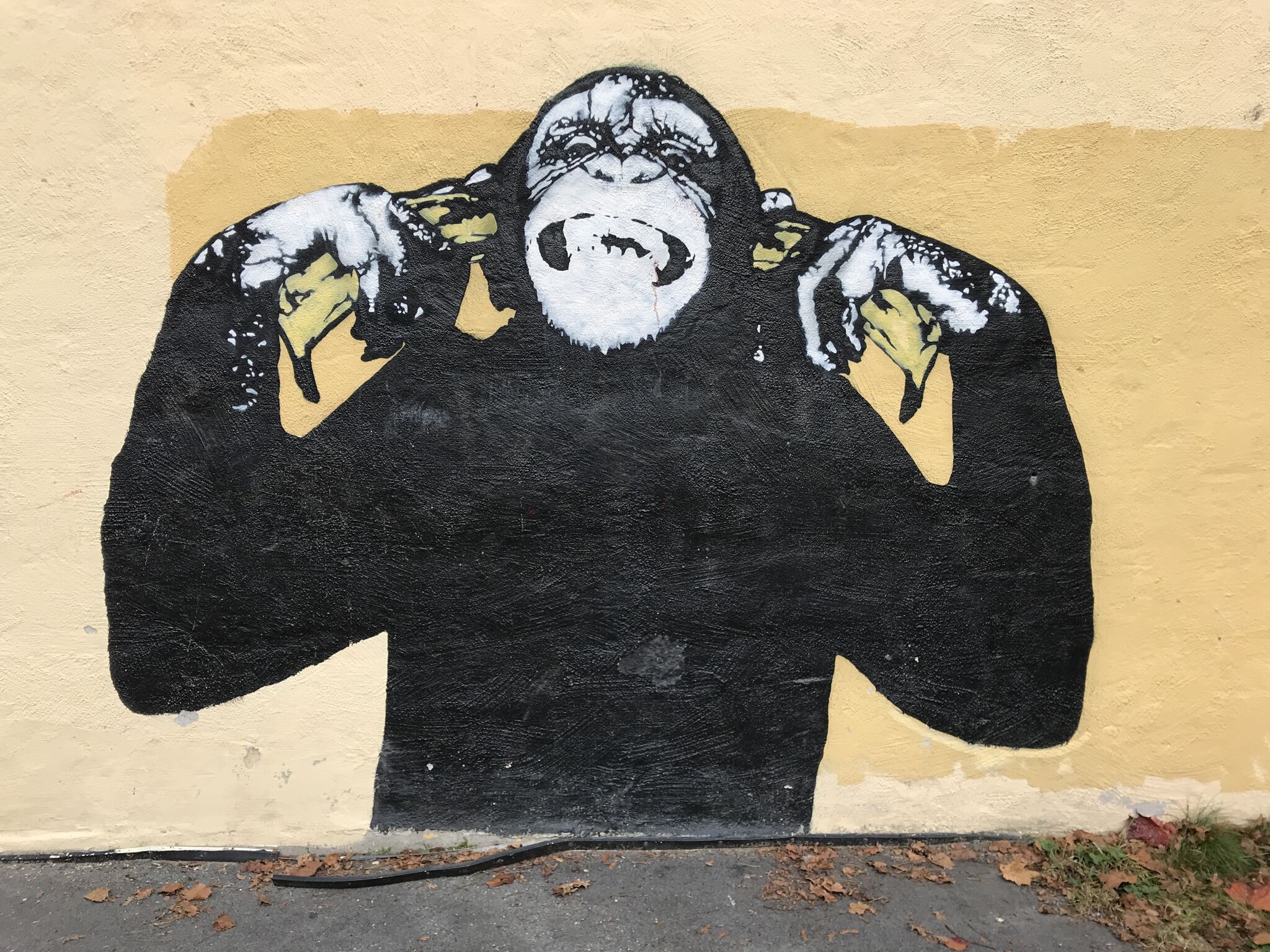 DOT DOT DOT&mdash;Monkey Buziness