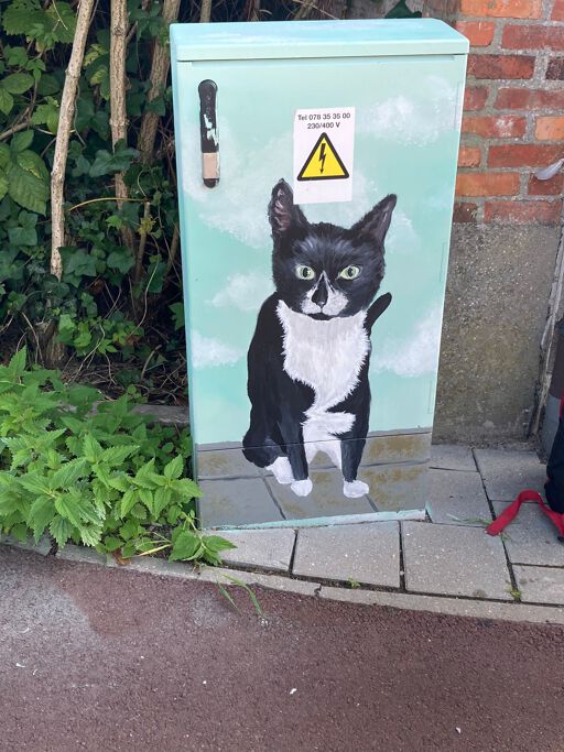 Tour Elentrik - De poes