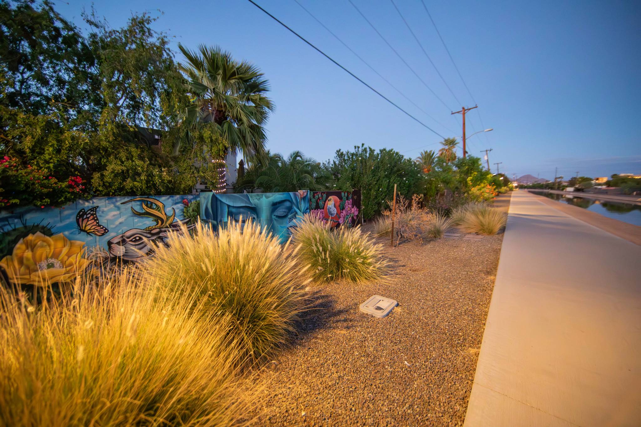 Rudy Jamie&mdash;Phoenix Mural Project