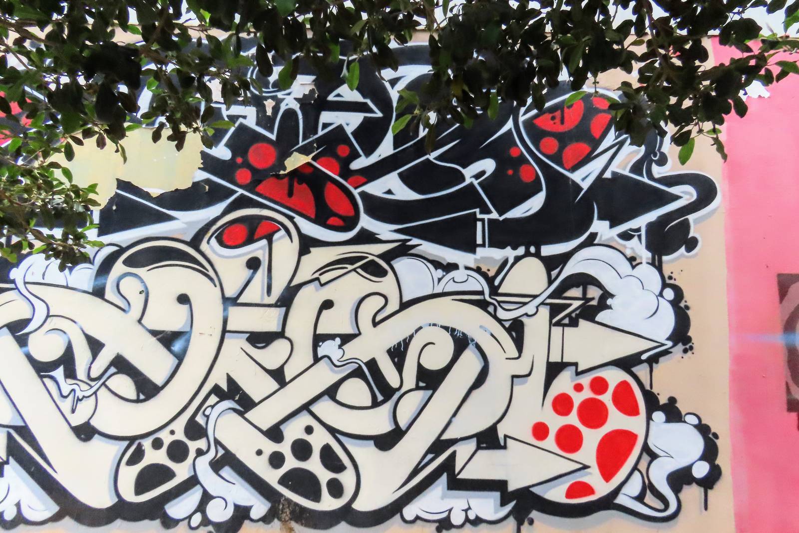 Saker&mdash;Black and White