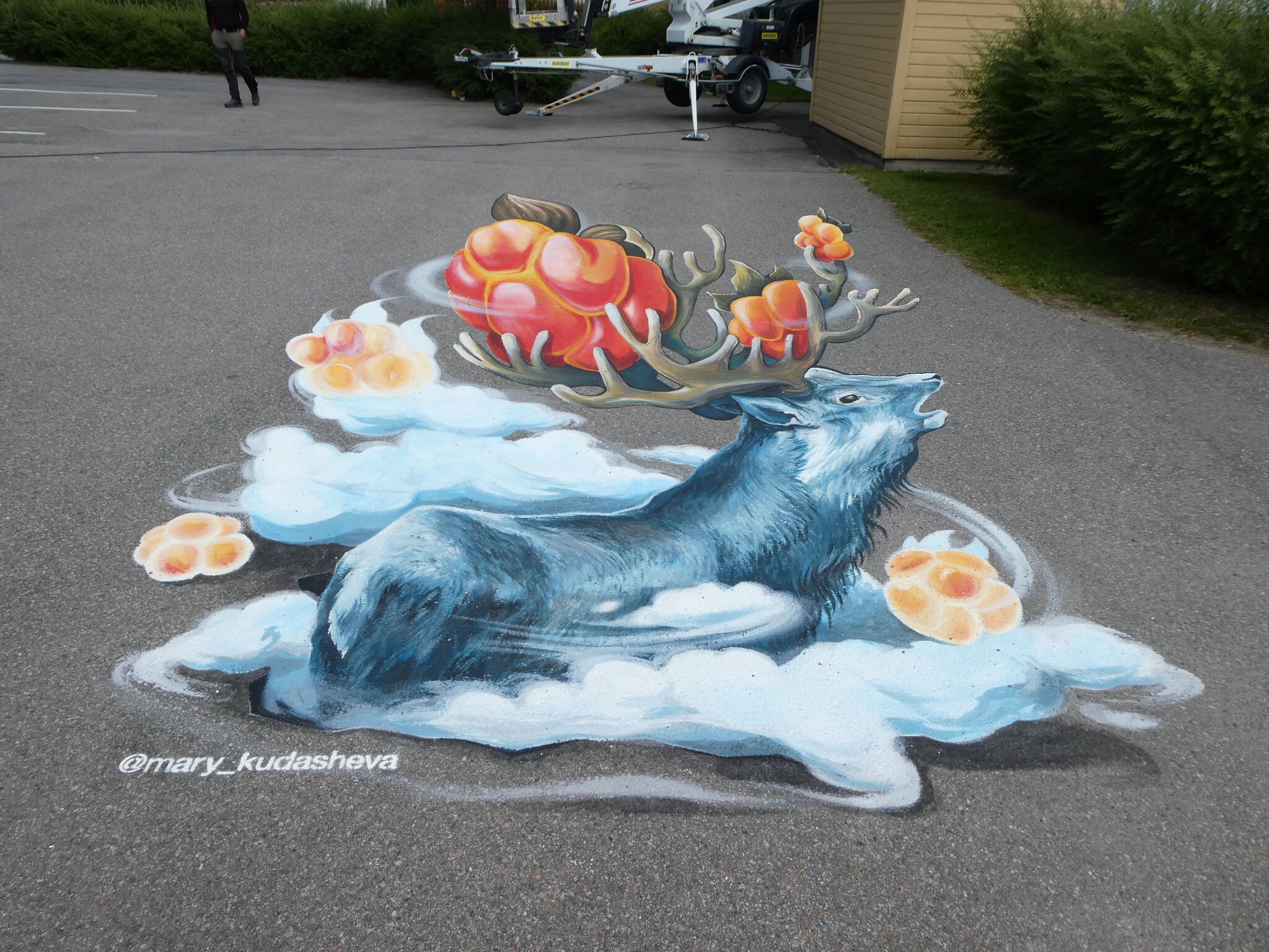 Mayra Kudasheva&mdash;Anamorphic Reindeer