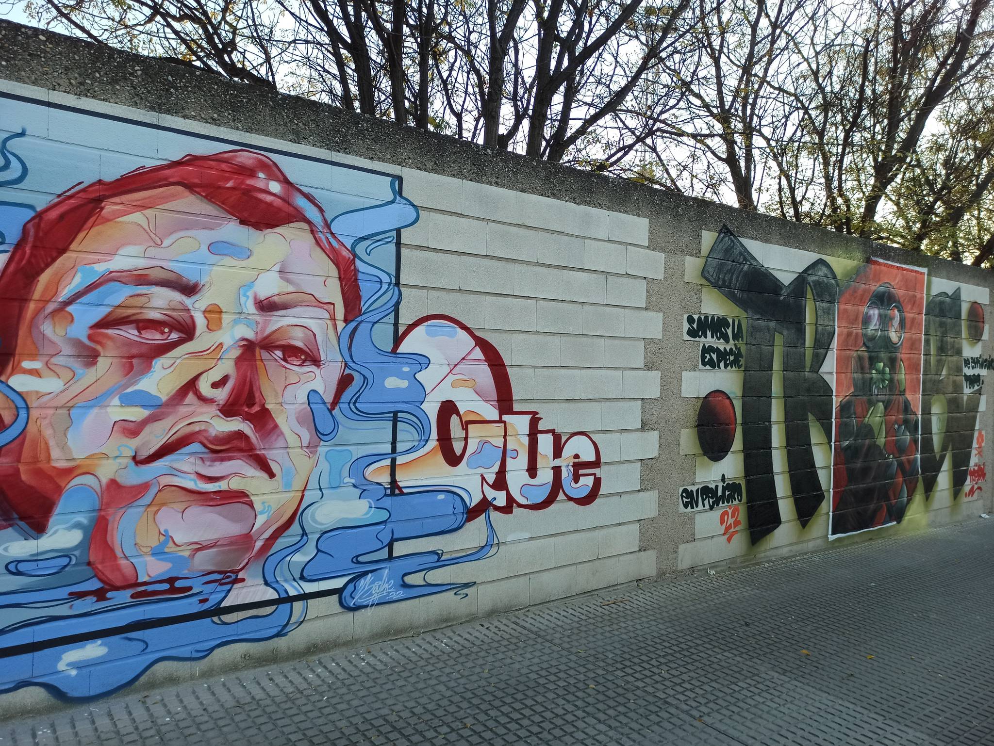 Trébol&mdash;Pyro
