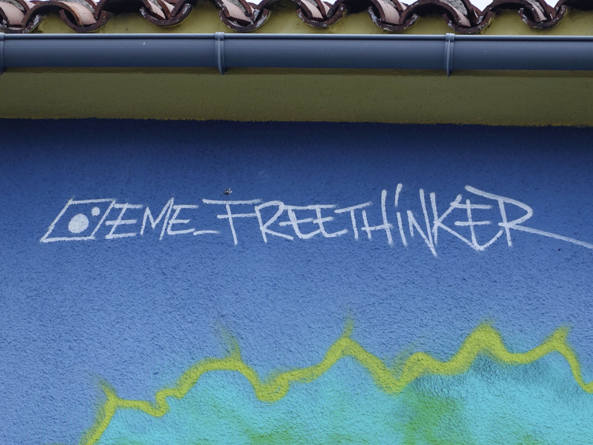 Eme Freethinker&mdash;Chica y gorila