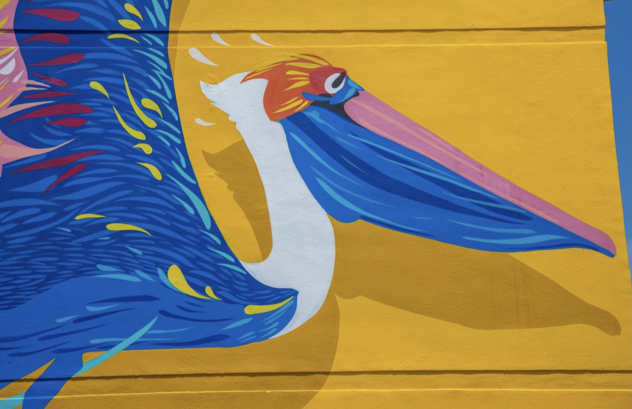 Espa&mdash;The Pelican