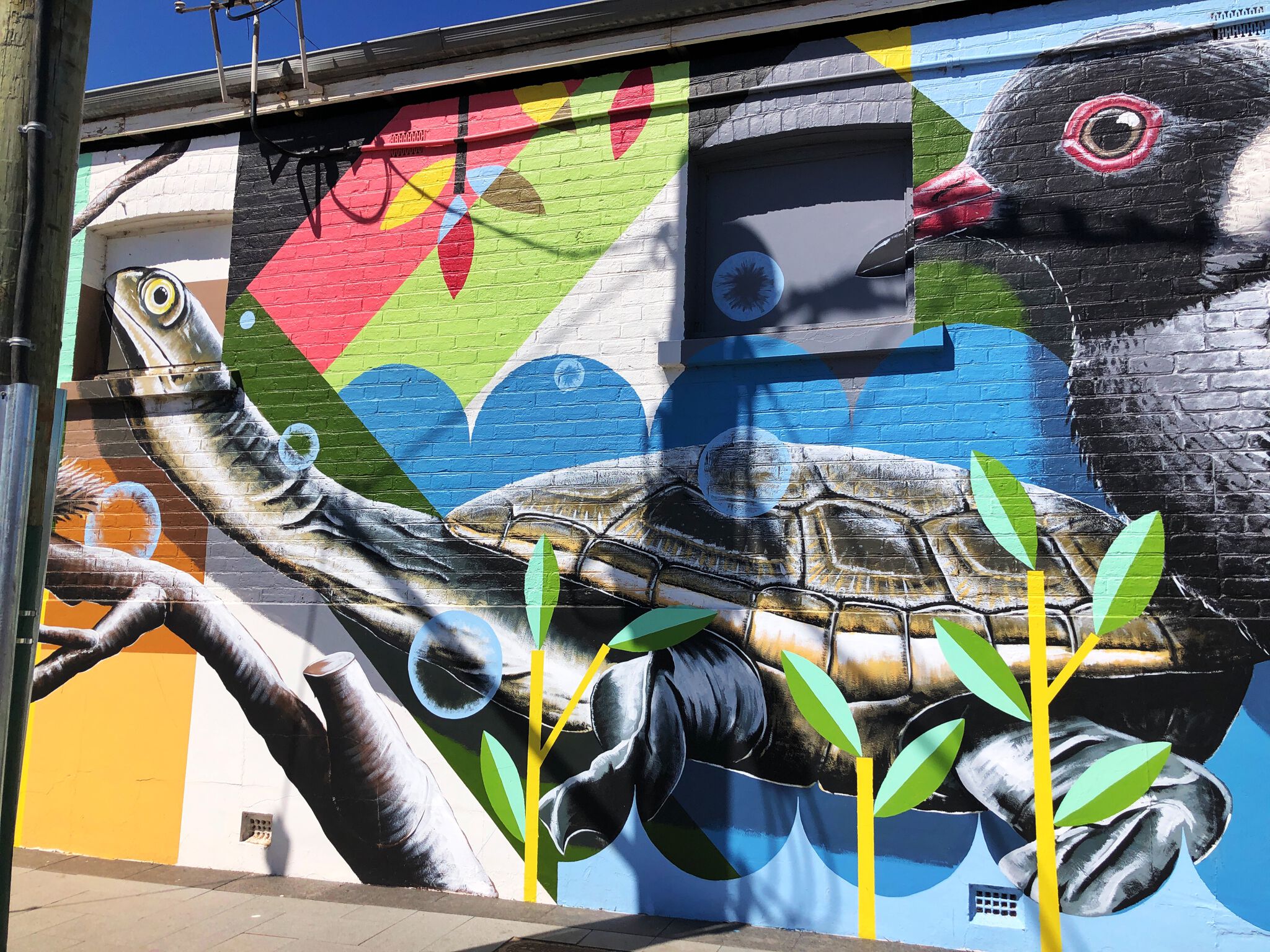 Brenton See&mdash;Cafe’ on Clive