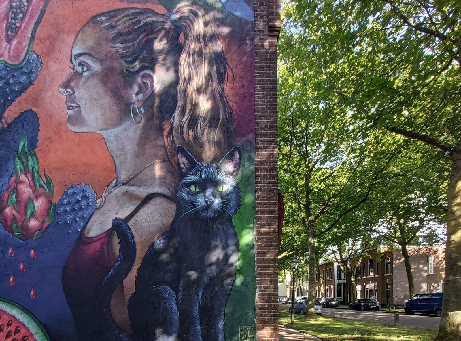 Michel Velt, Roos Vink&mdash;"Shadowplay" and "Roos Vink"